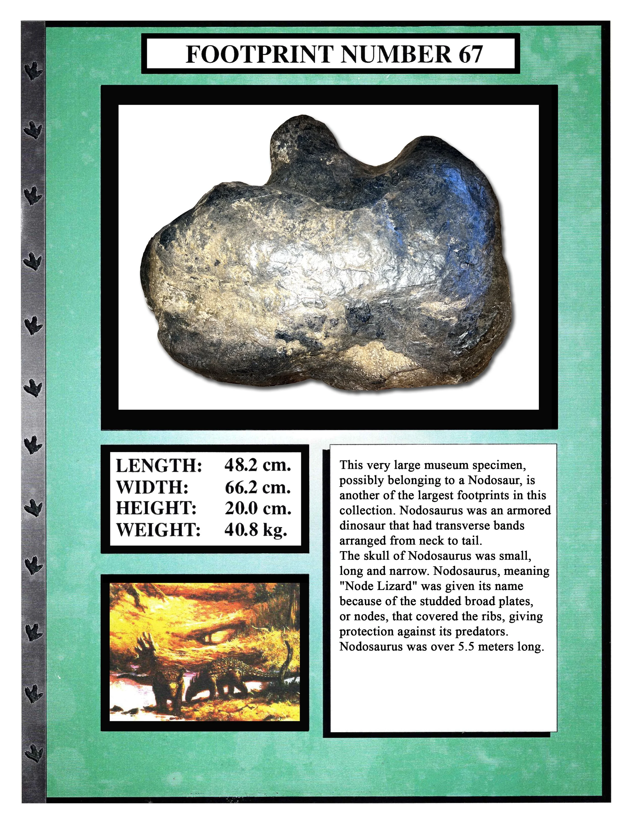 Nodosaurus #67