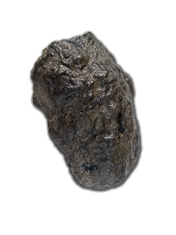 Corythasaurus Digit #5