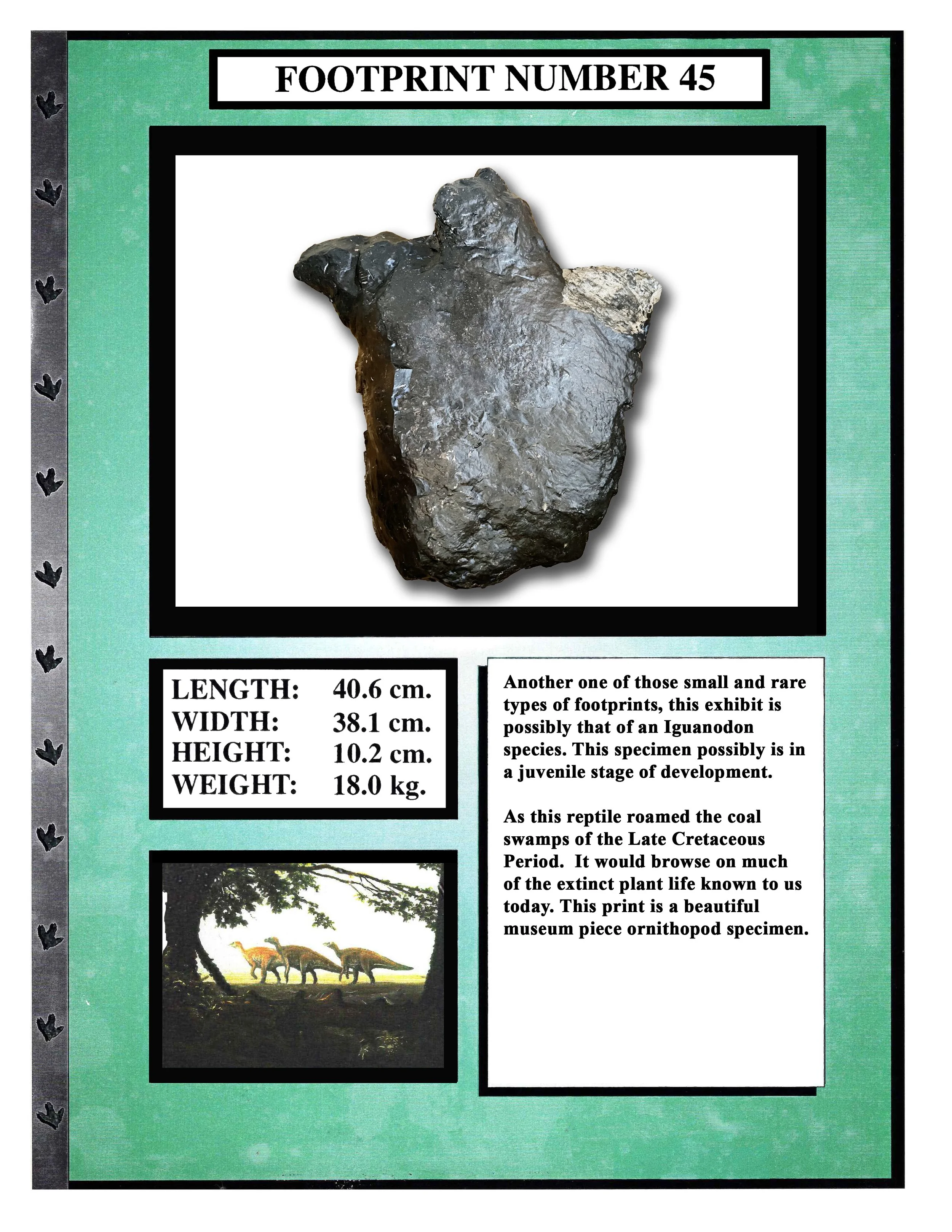 iguanodon #45