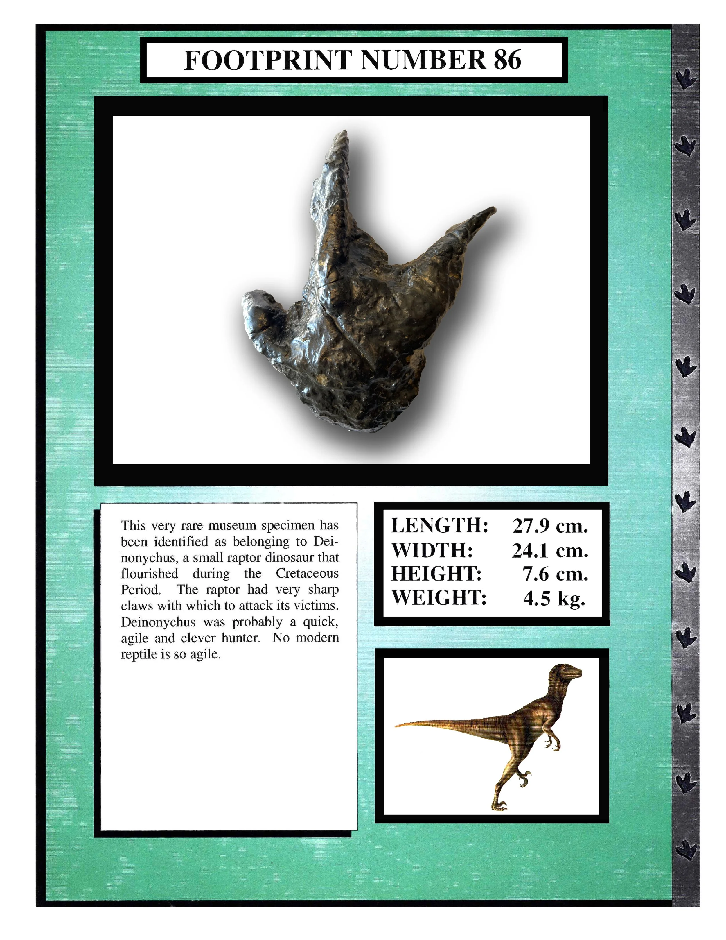 Deinonychus #86