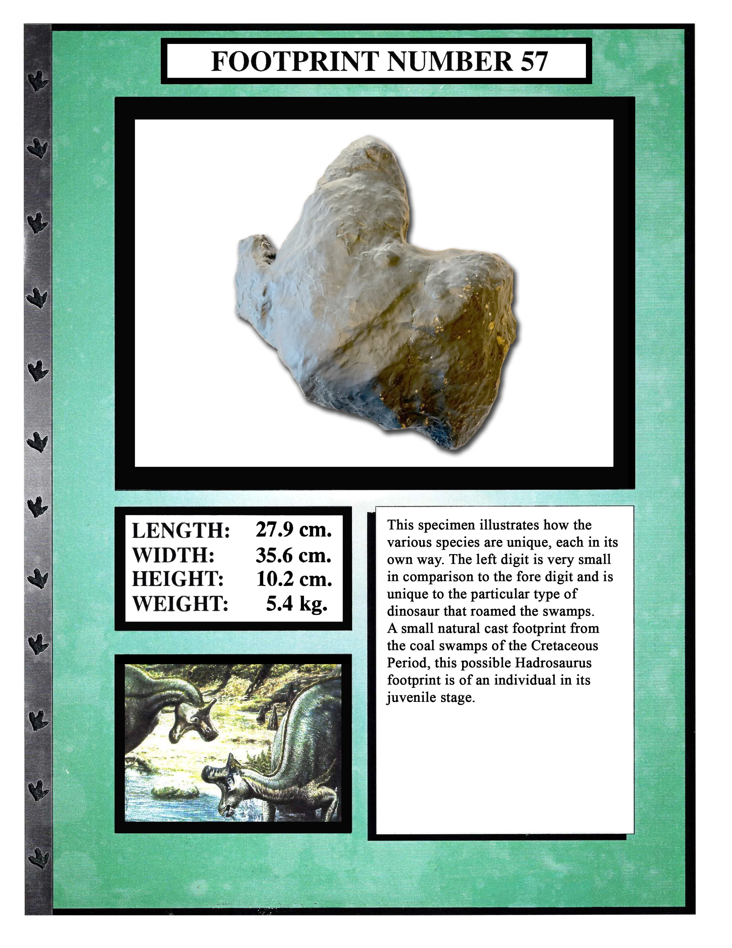 Hadrosaurus #57