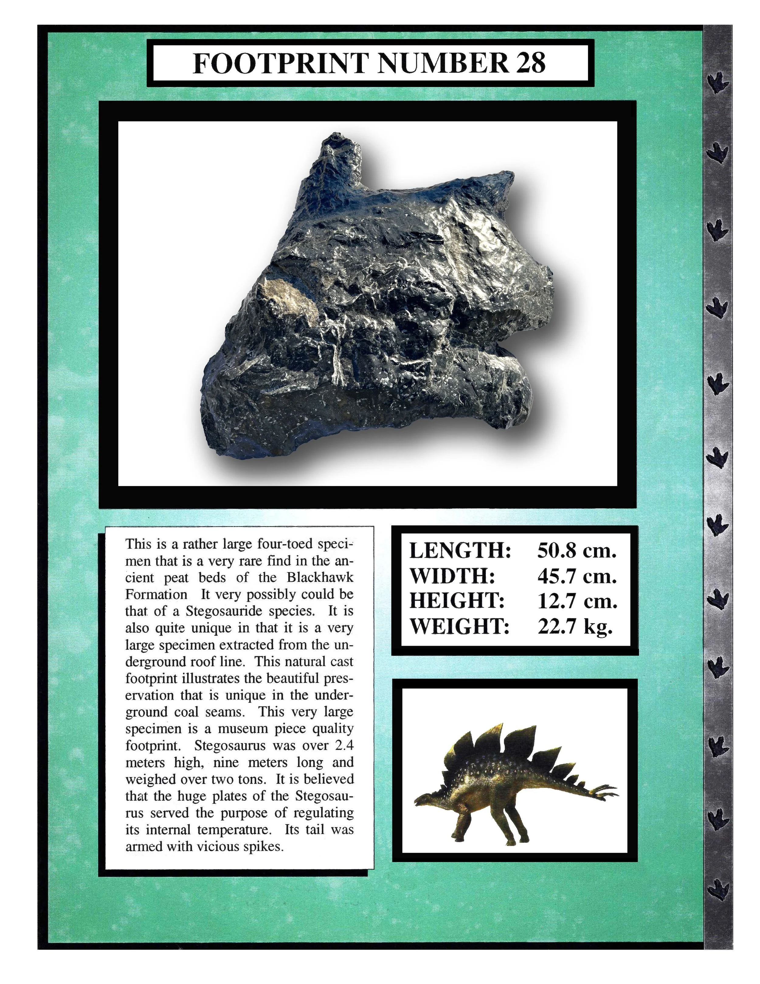 Stegosaurus #28