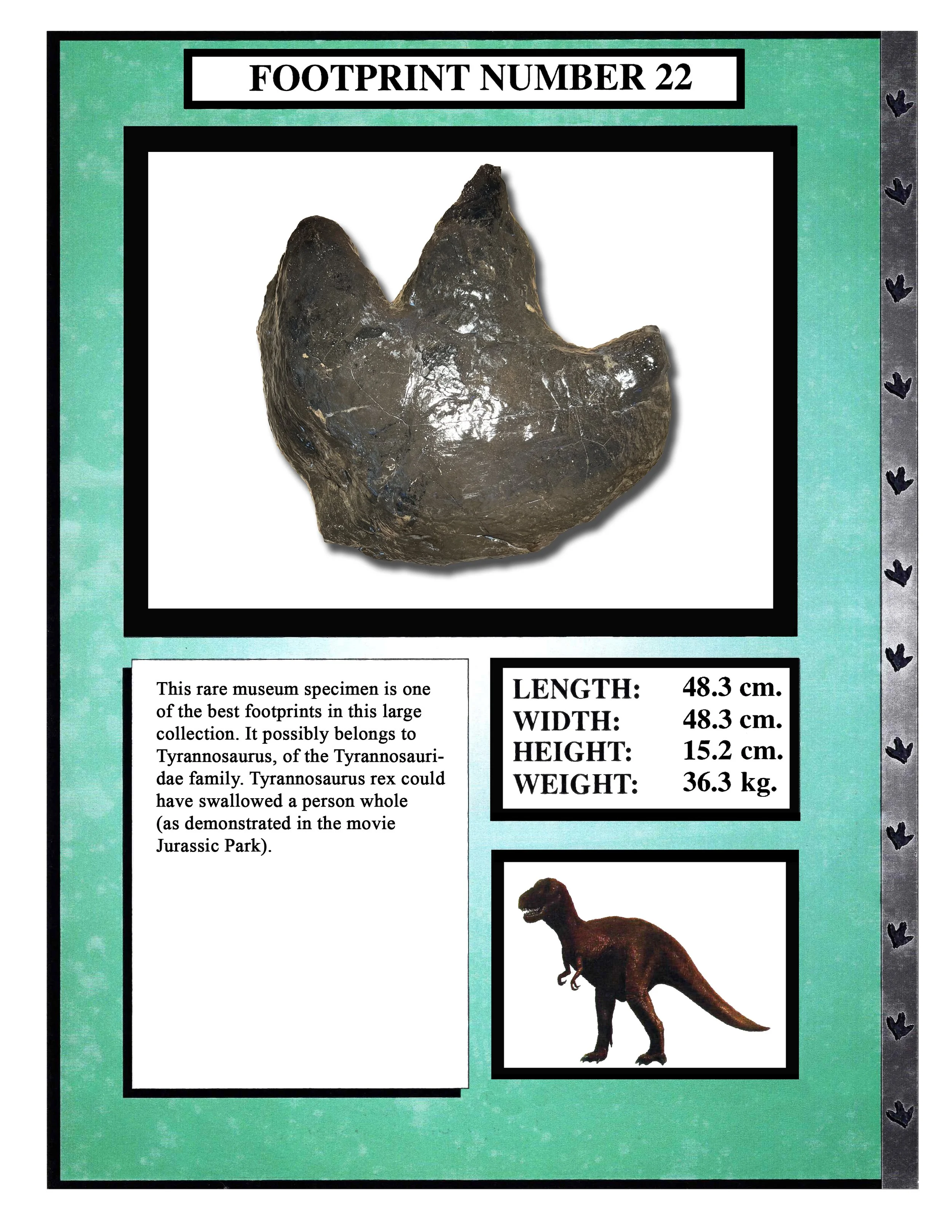 Tyrannosaurus #22