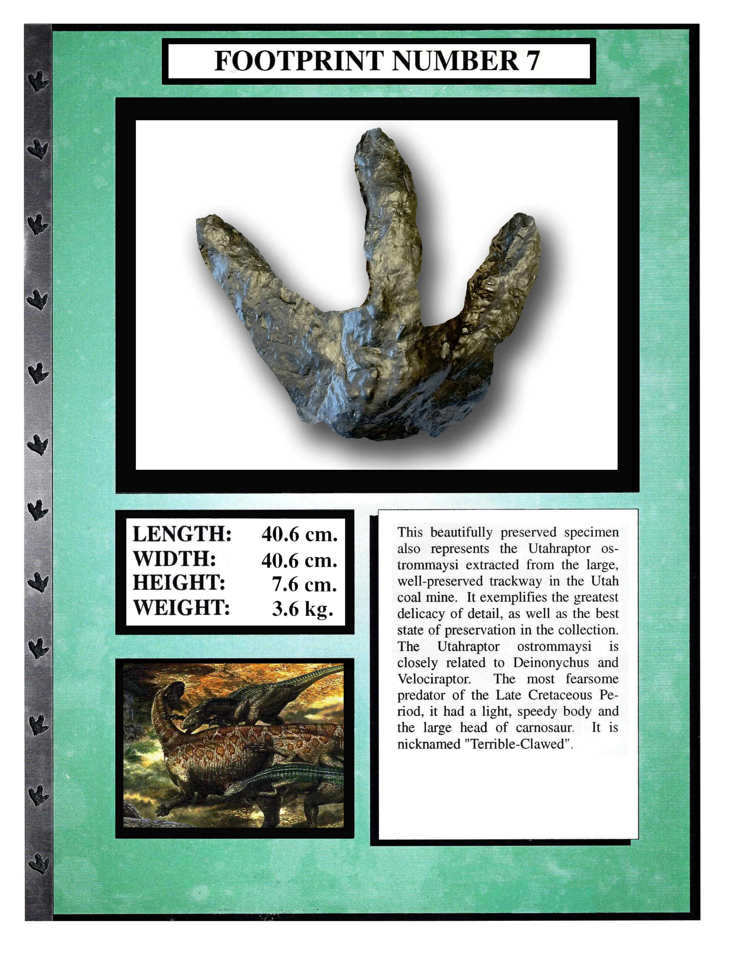 Utahraptor #7