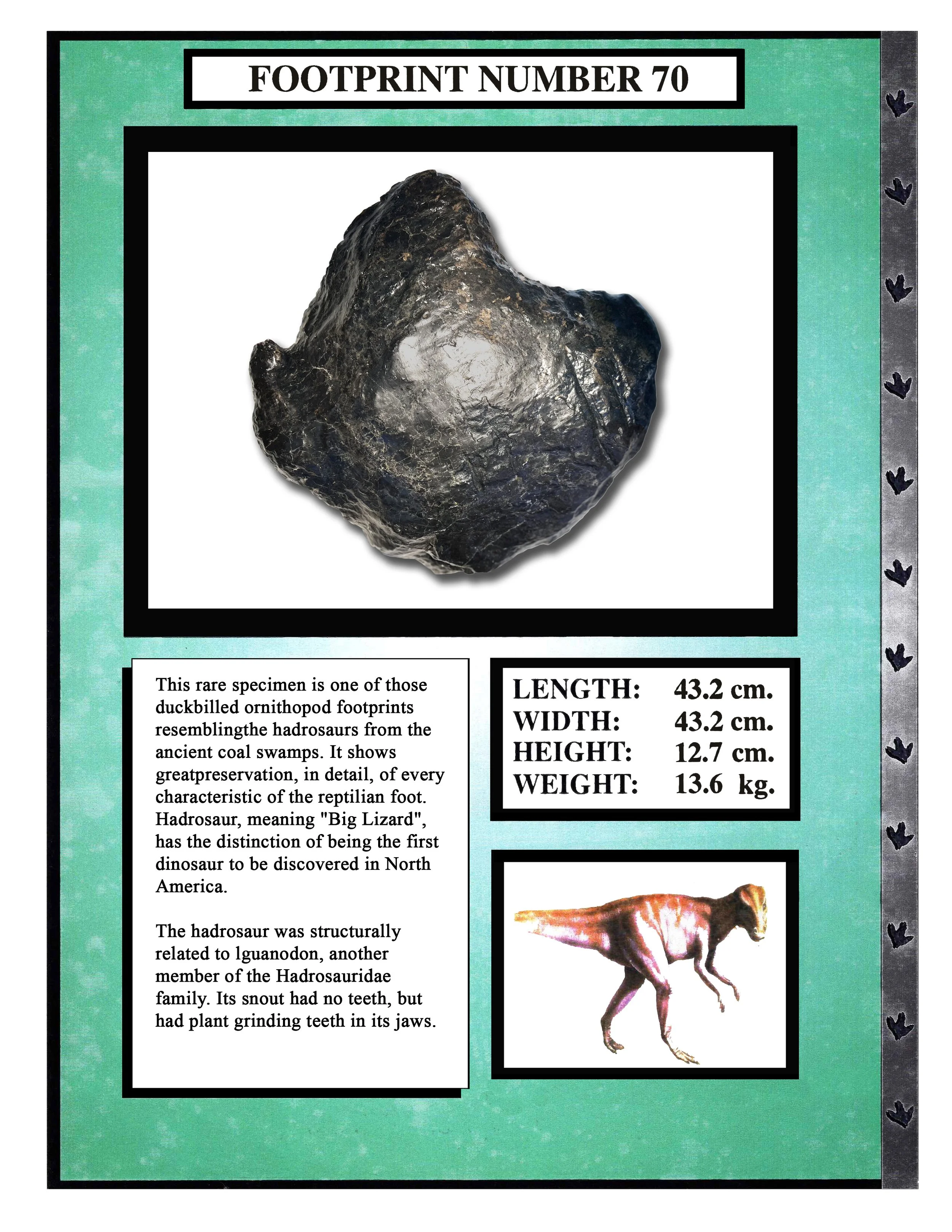 Hadrosaurus #70
