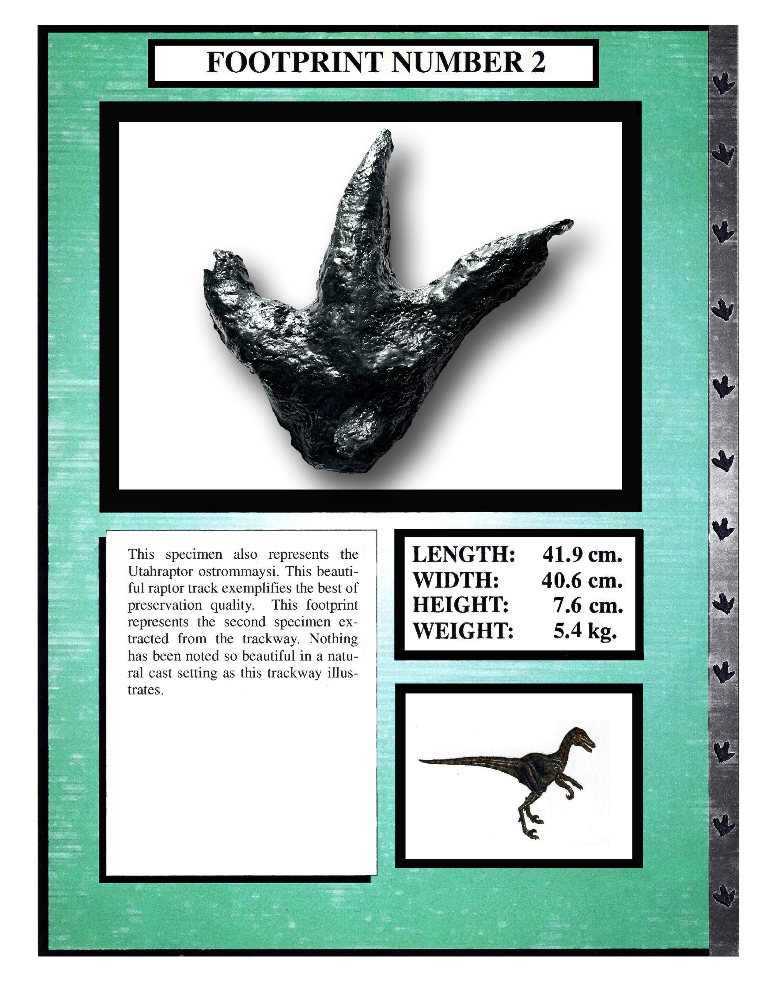 Utahraptor #2
