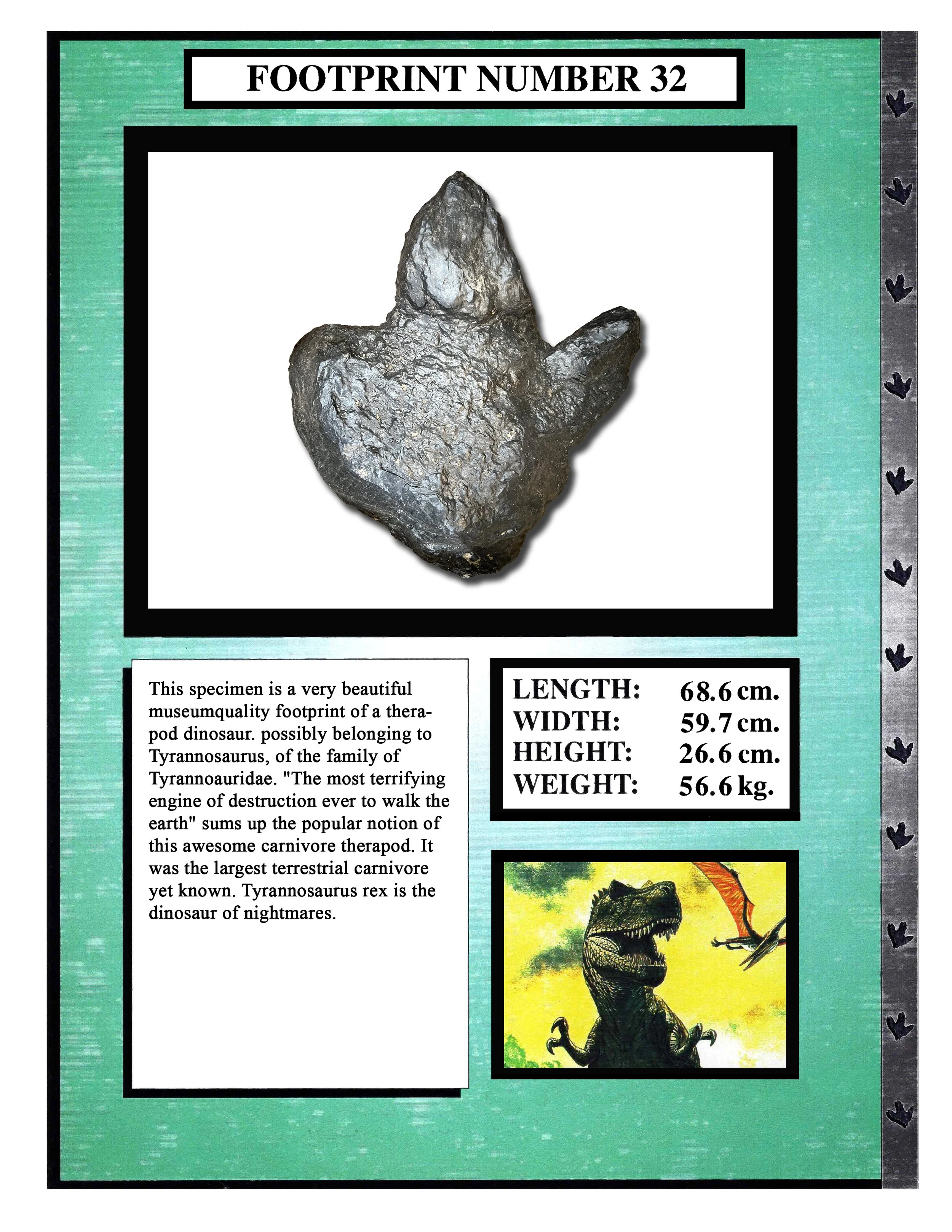 Tyrannosaurus #32
