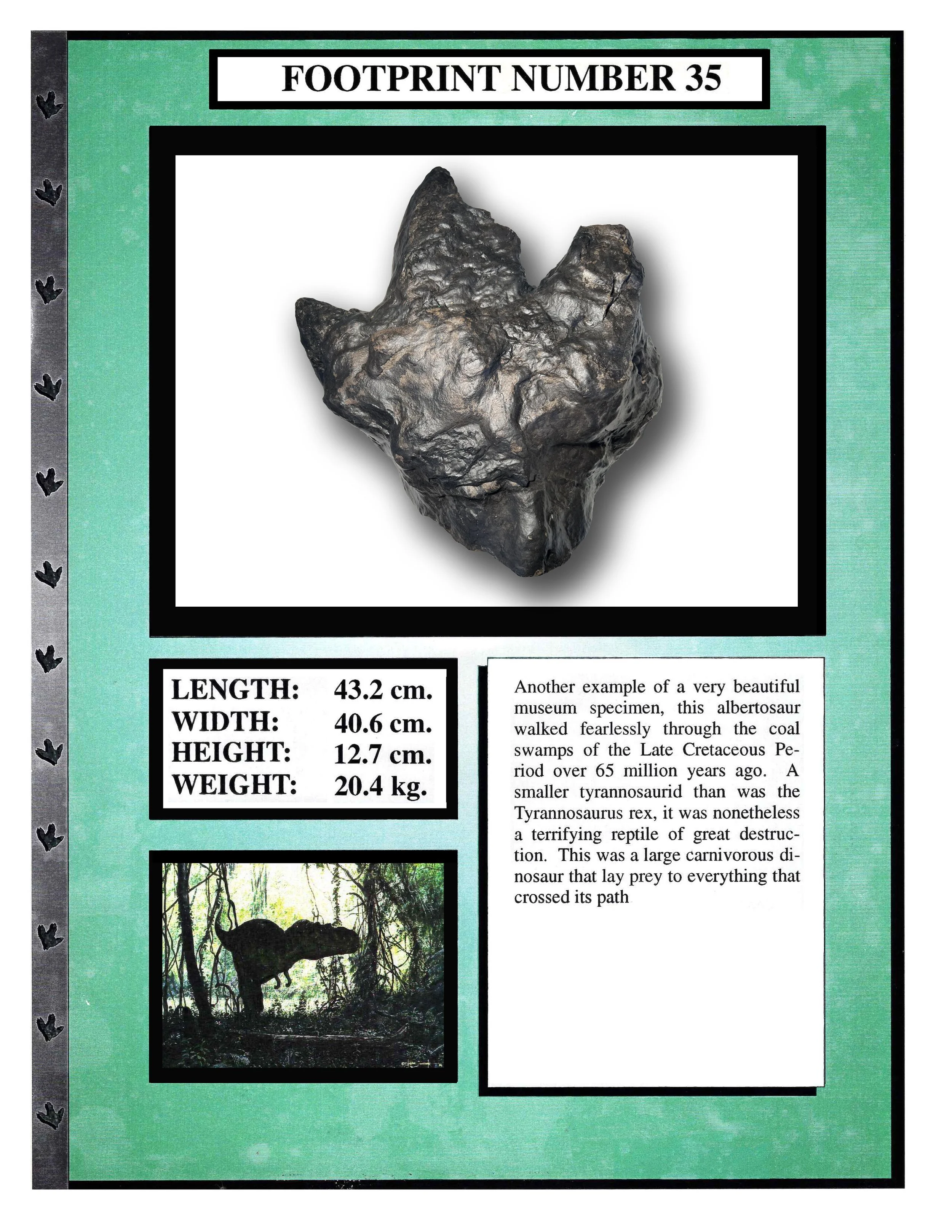 Albertosaurus #35