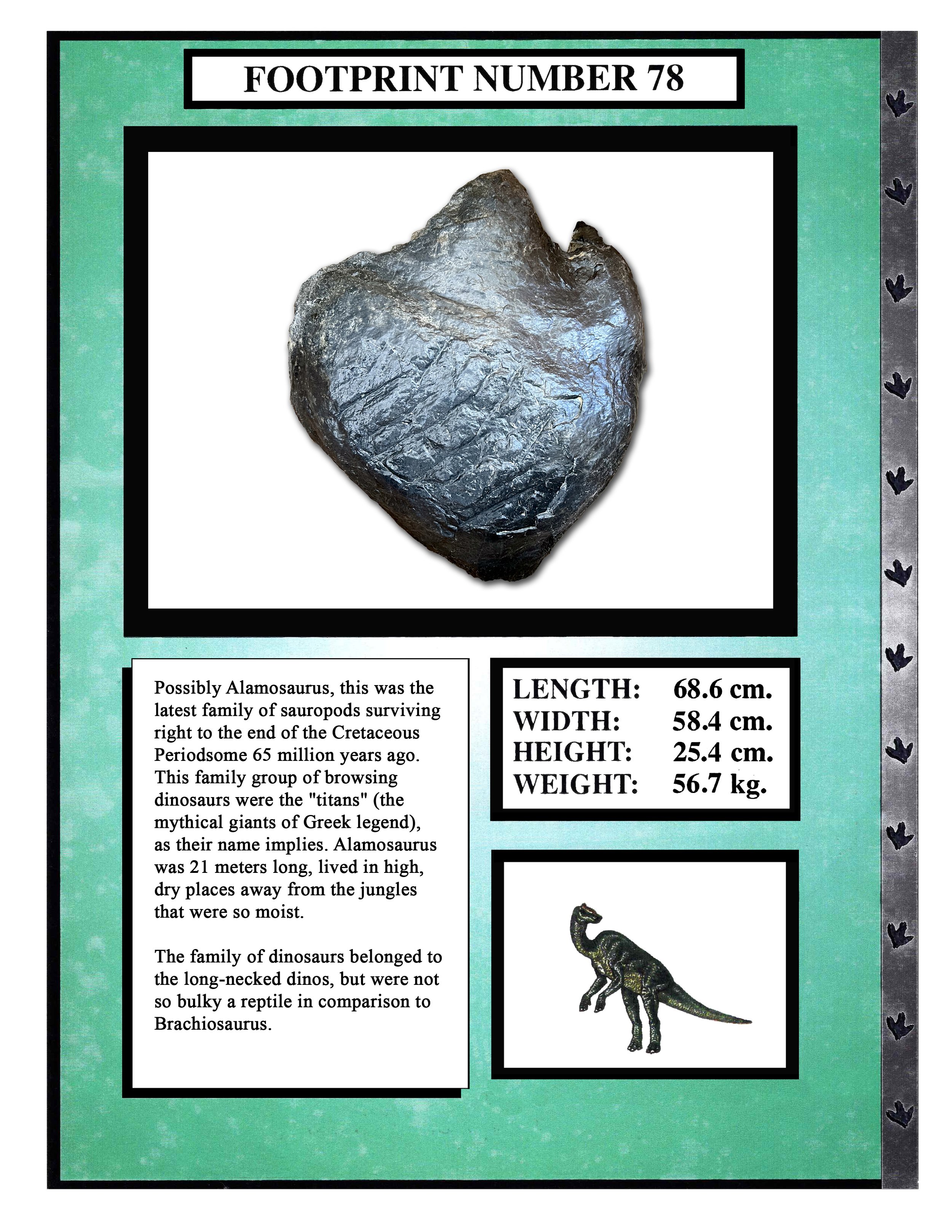 Alamosaurus #79