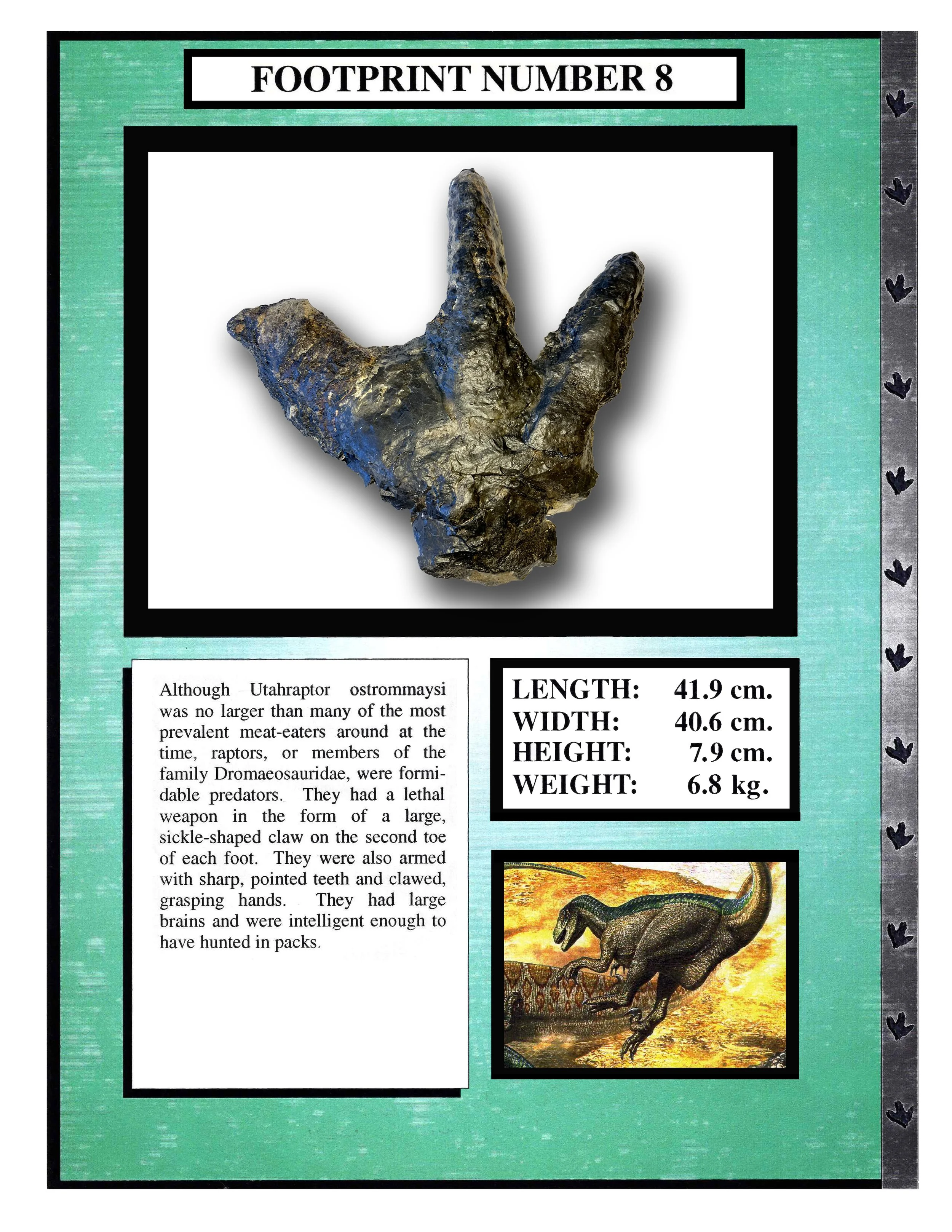 Utahraptor #8