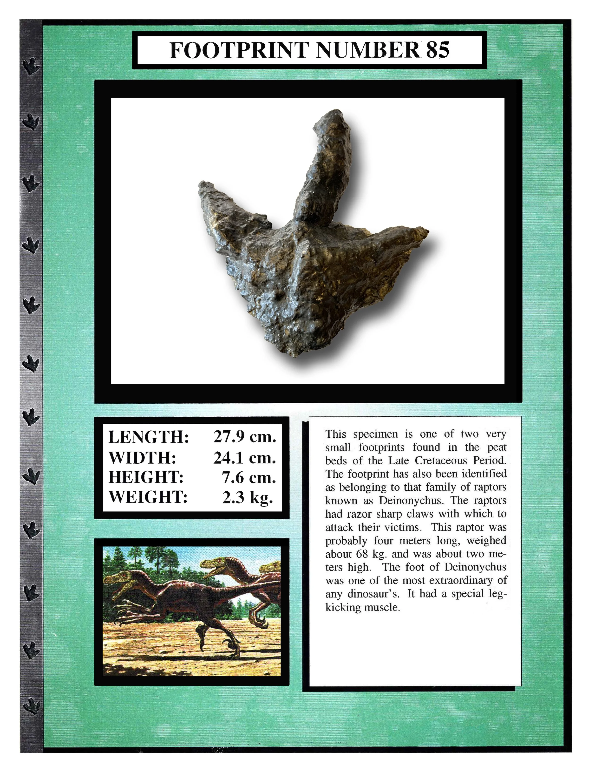 Deinonychus #85