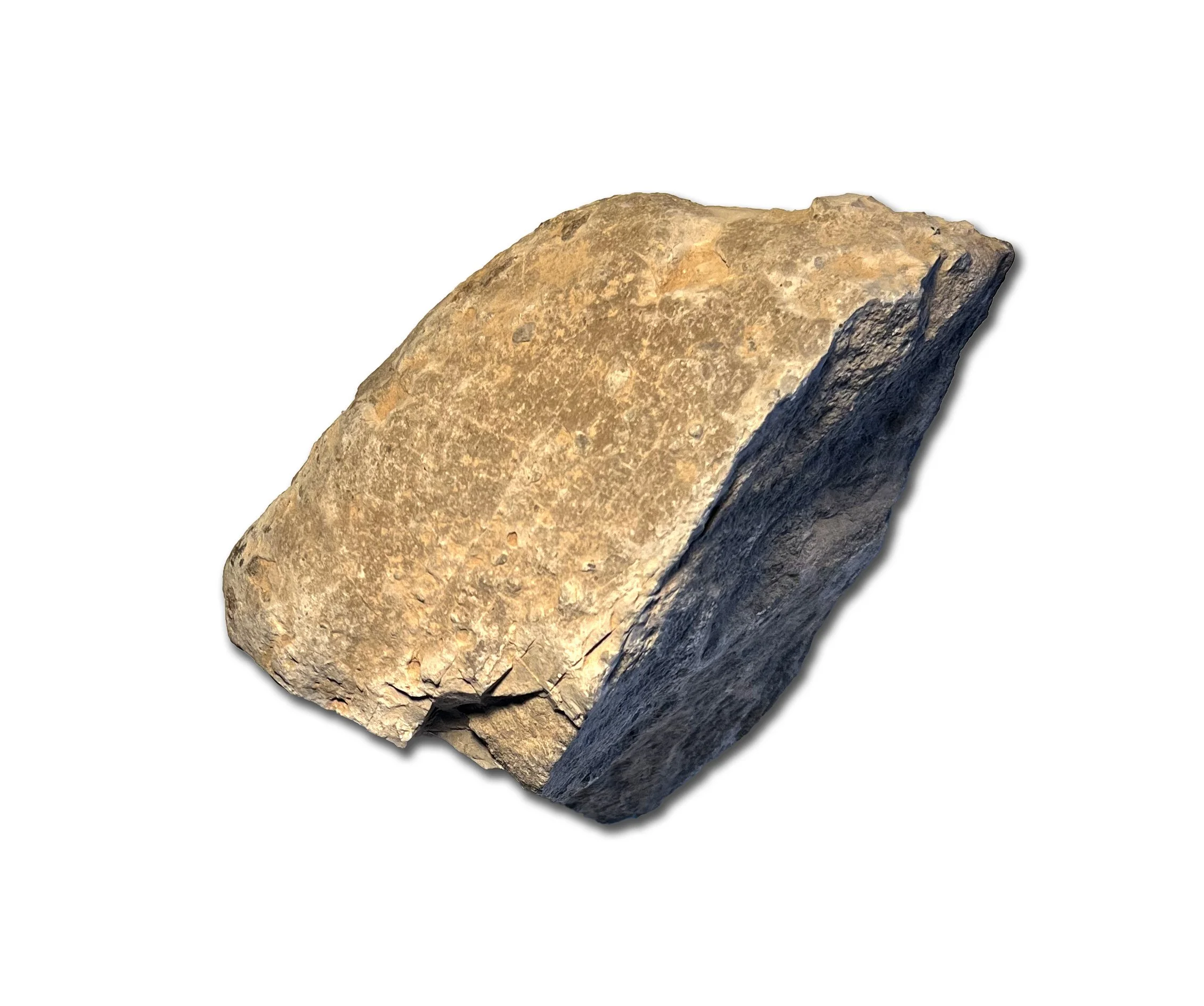 Bone #2