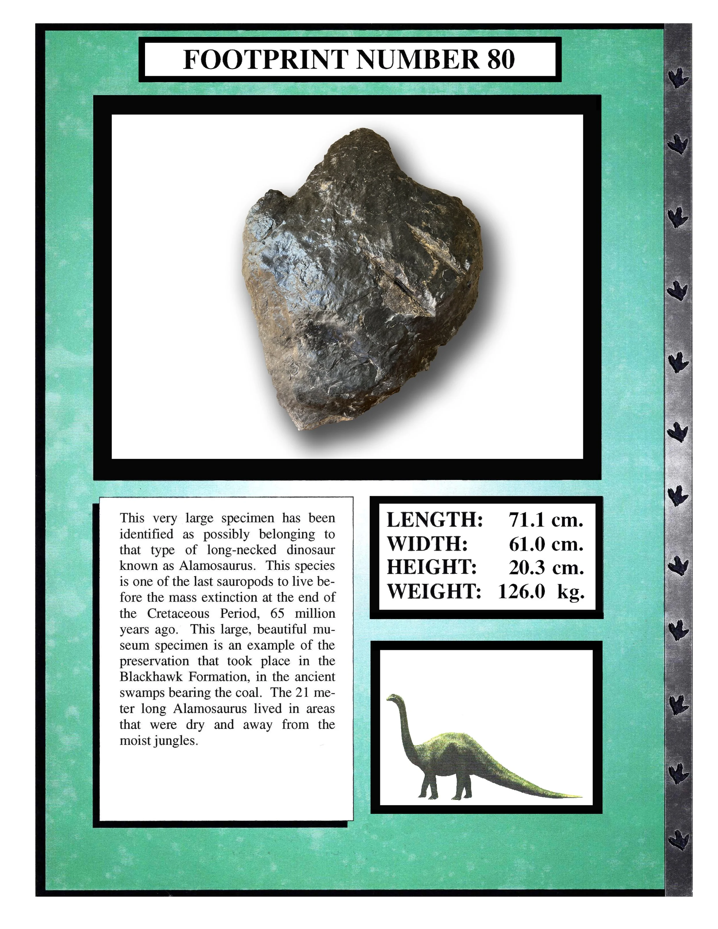 Alamosaurus #80