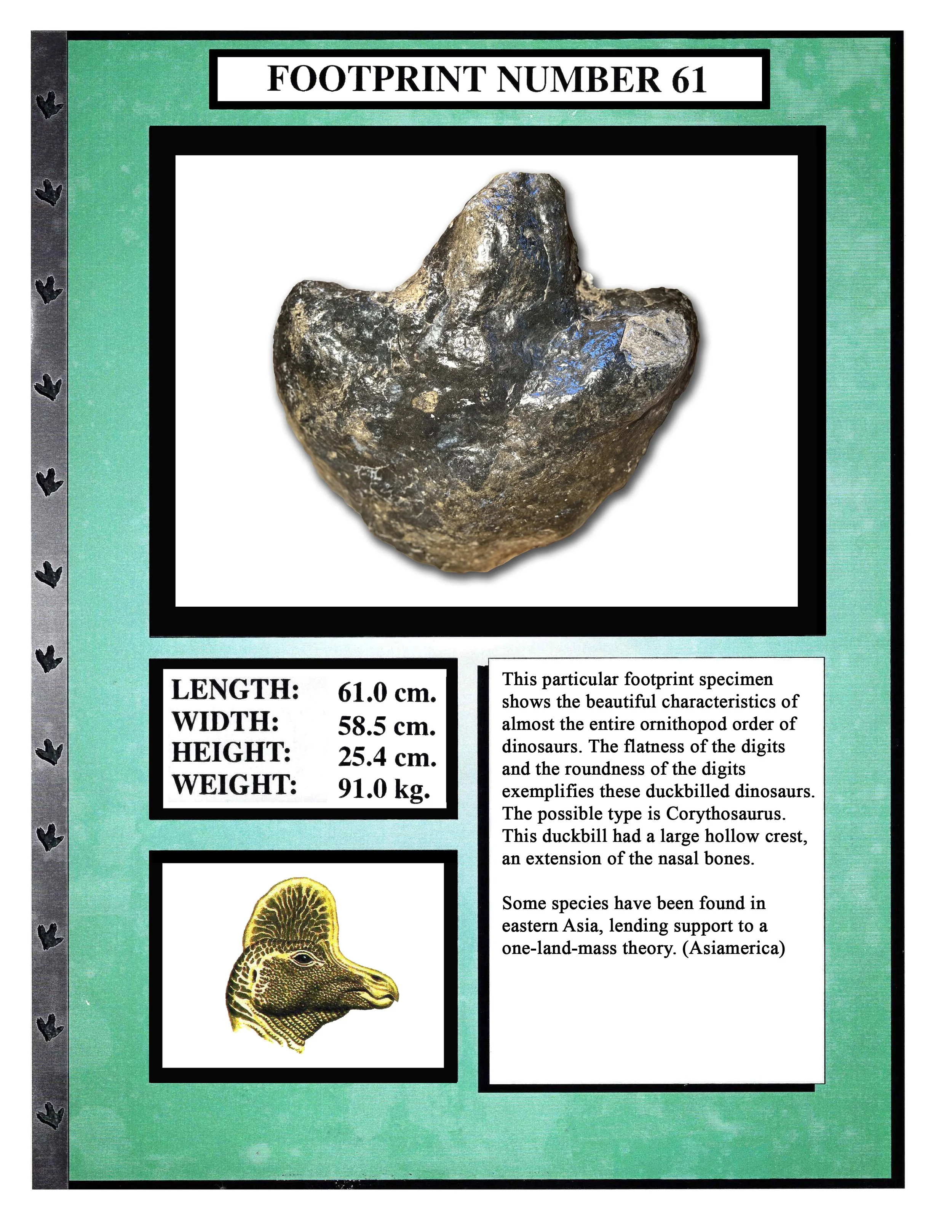 Corythosaurus #61