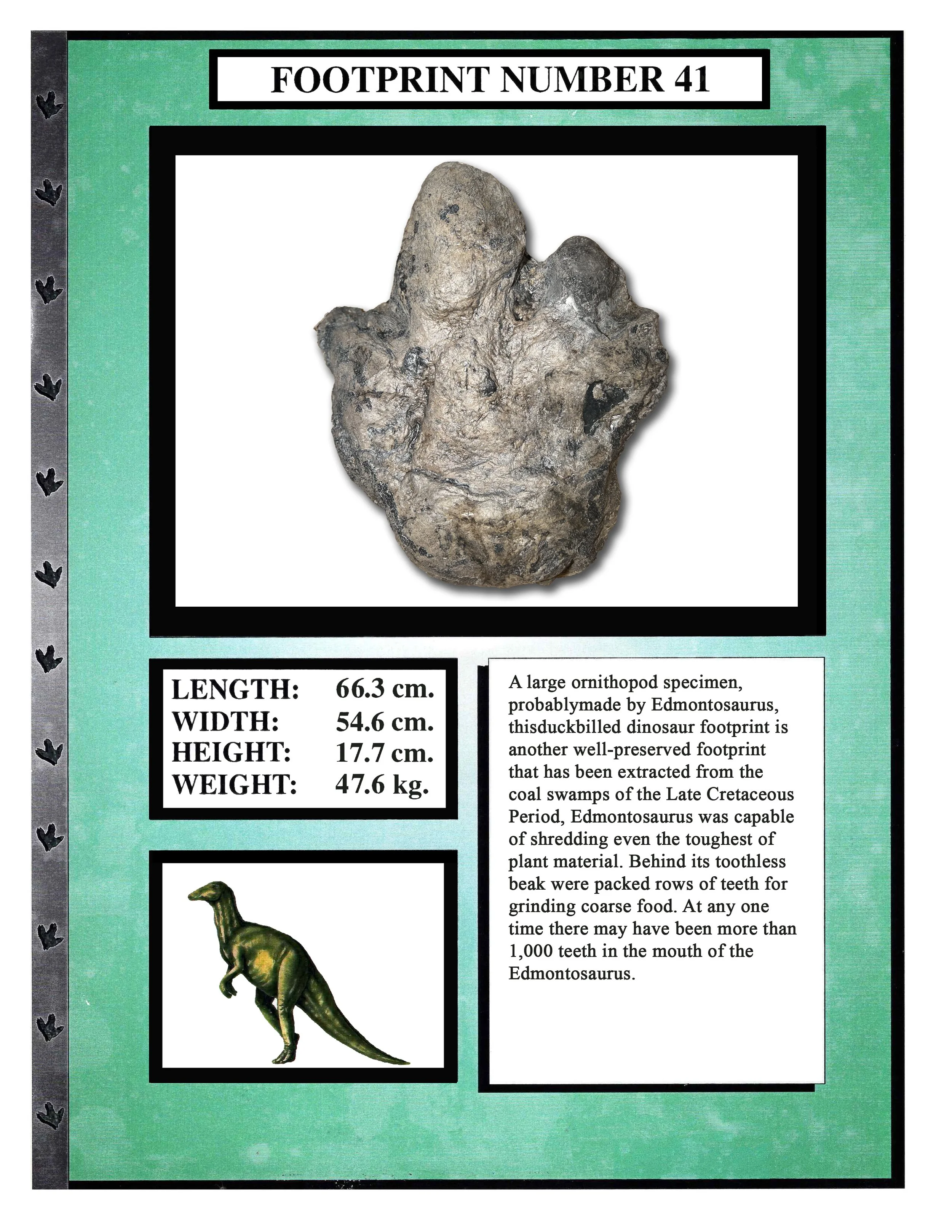 Edmontosaurus #41