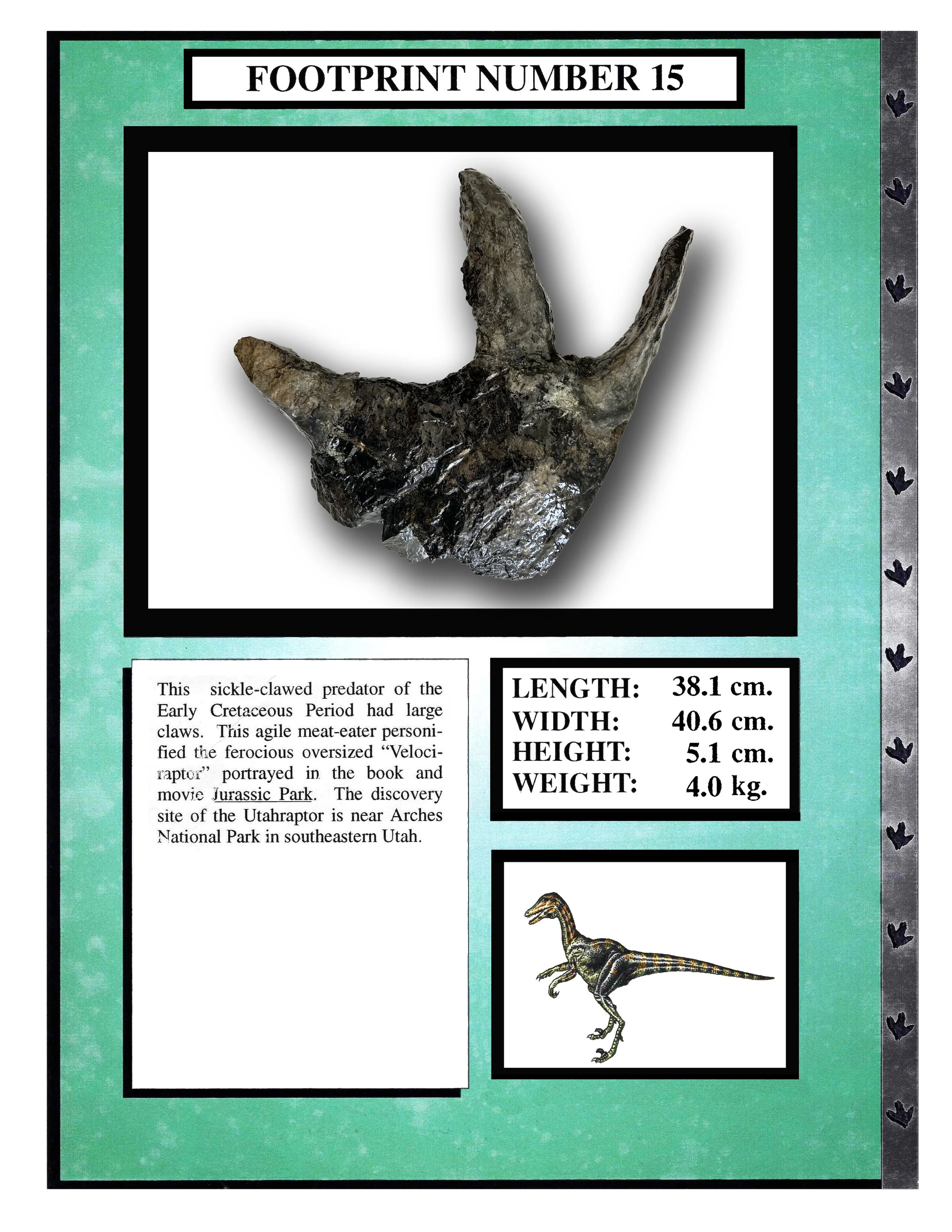 Utahraptor #15