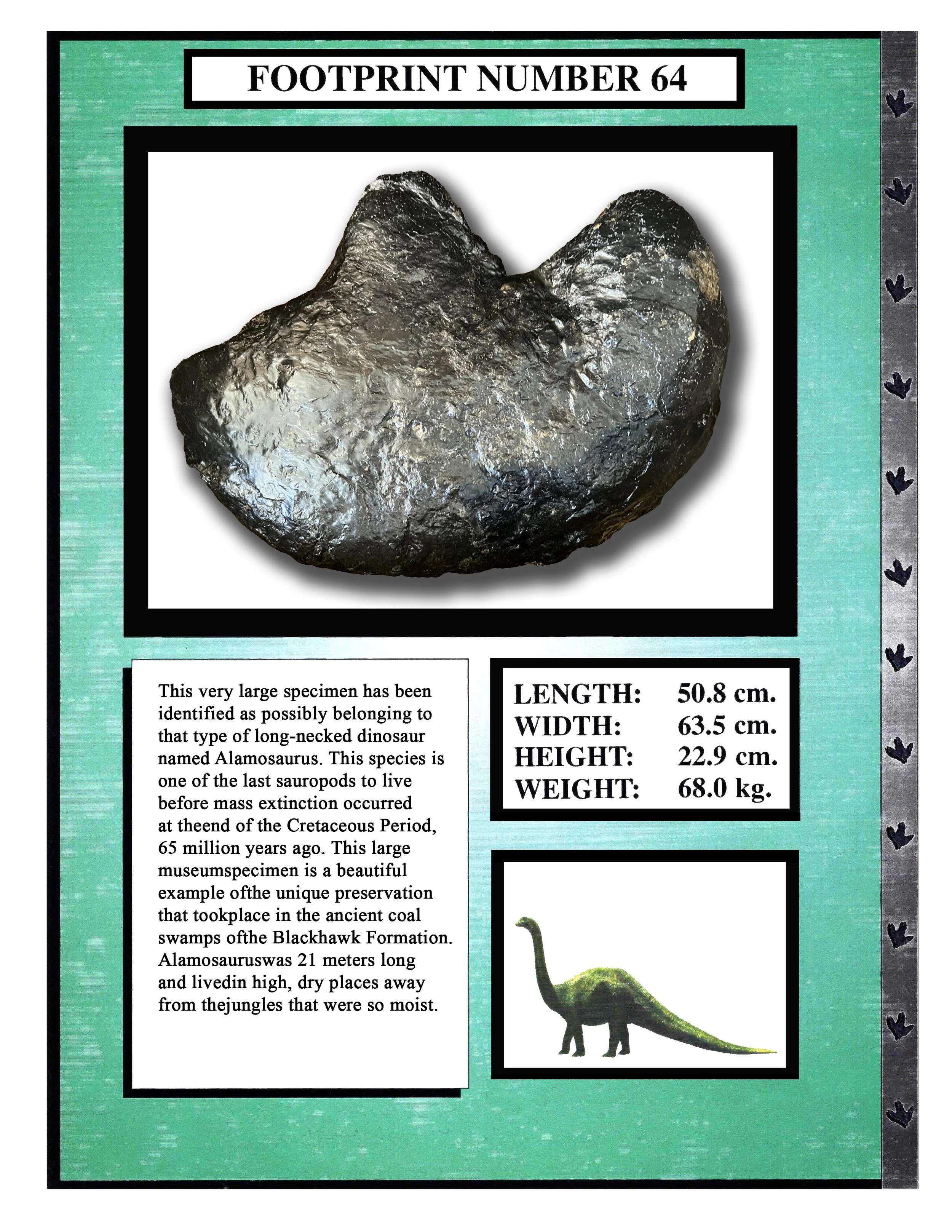 Alamosaurus #64
