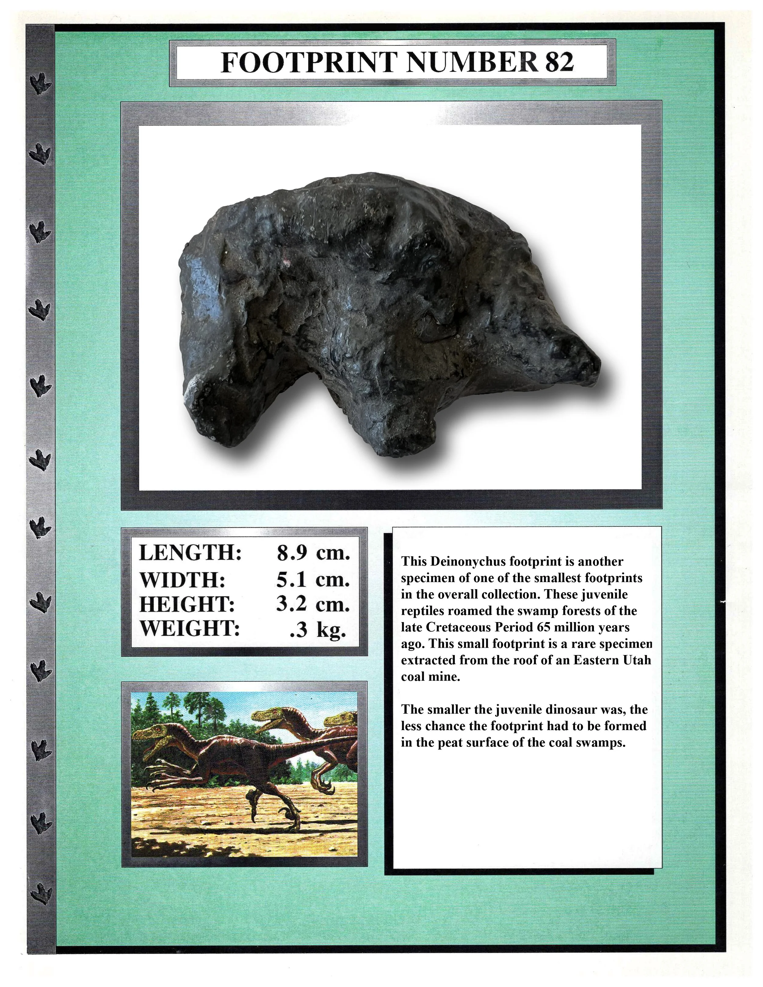 Deinonychus #82