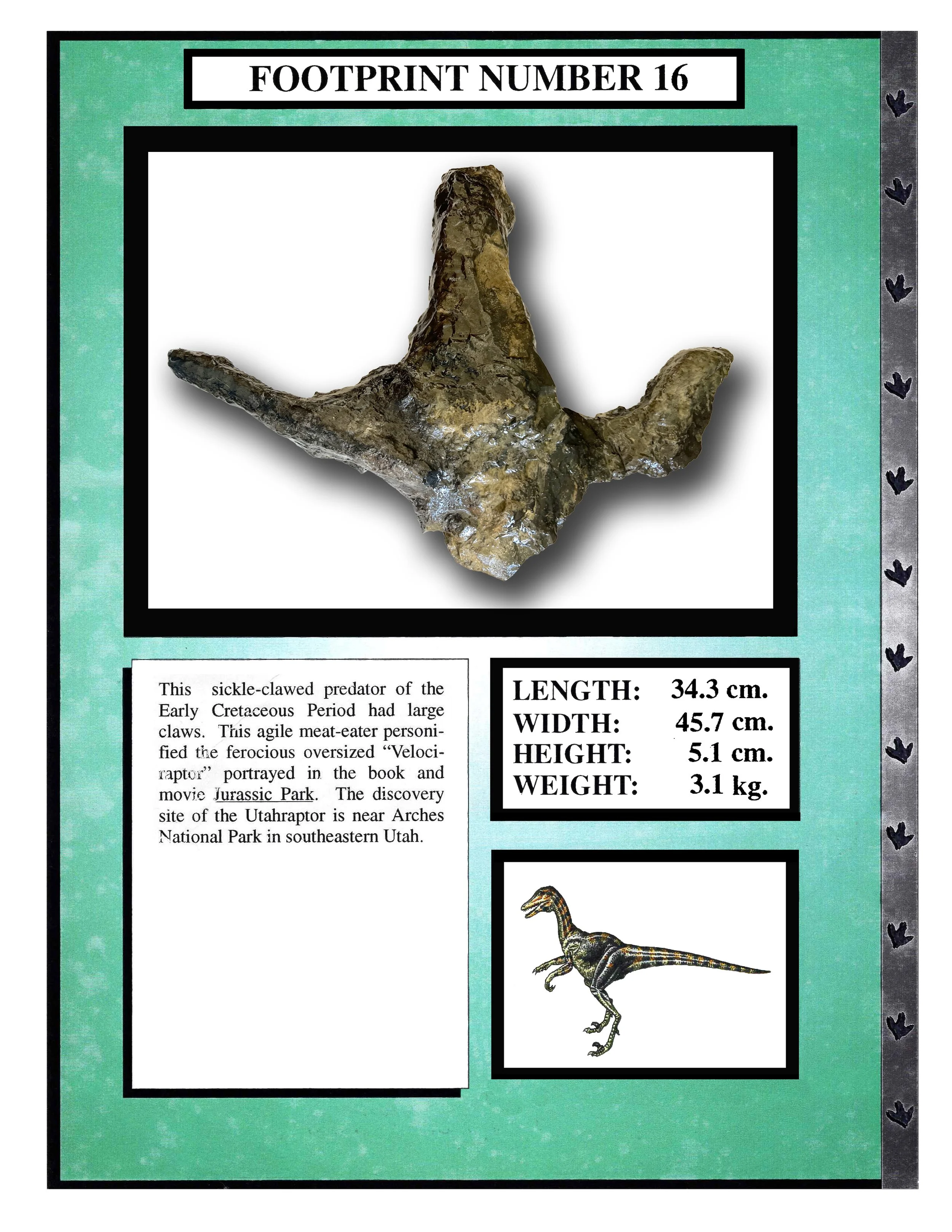 Utahraptor #16