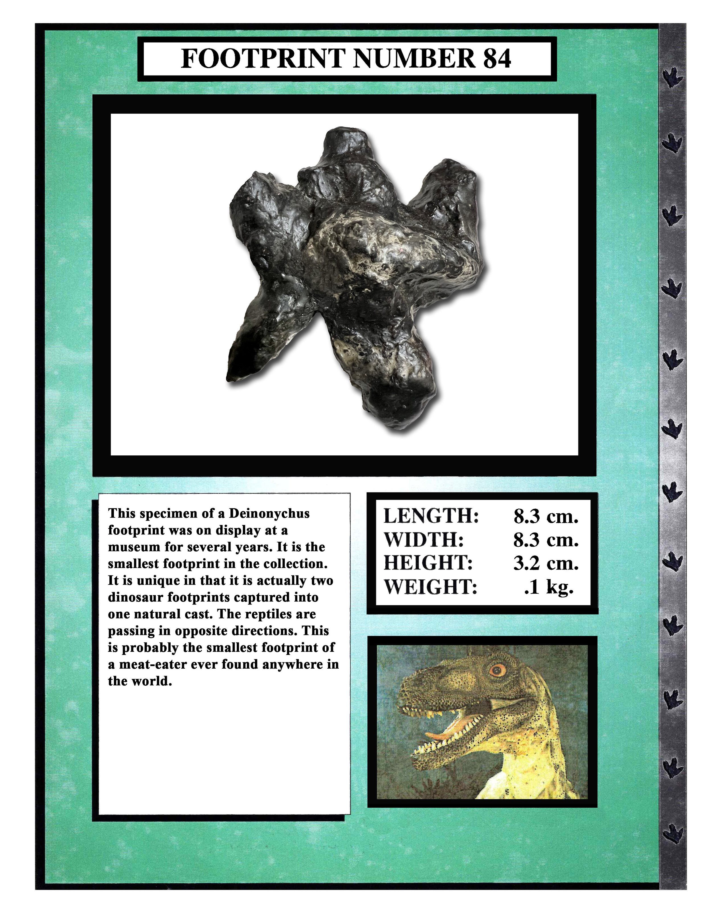 Deinonychus #84