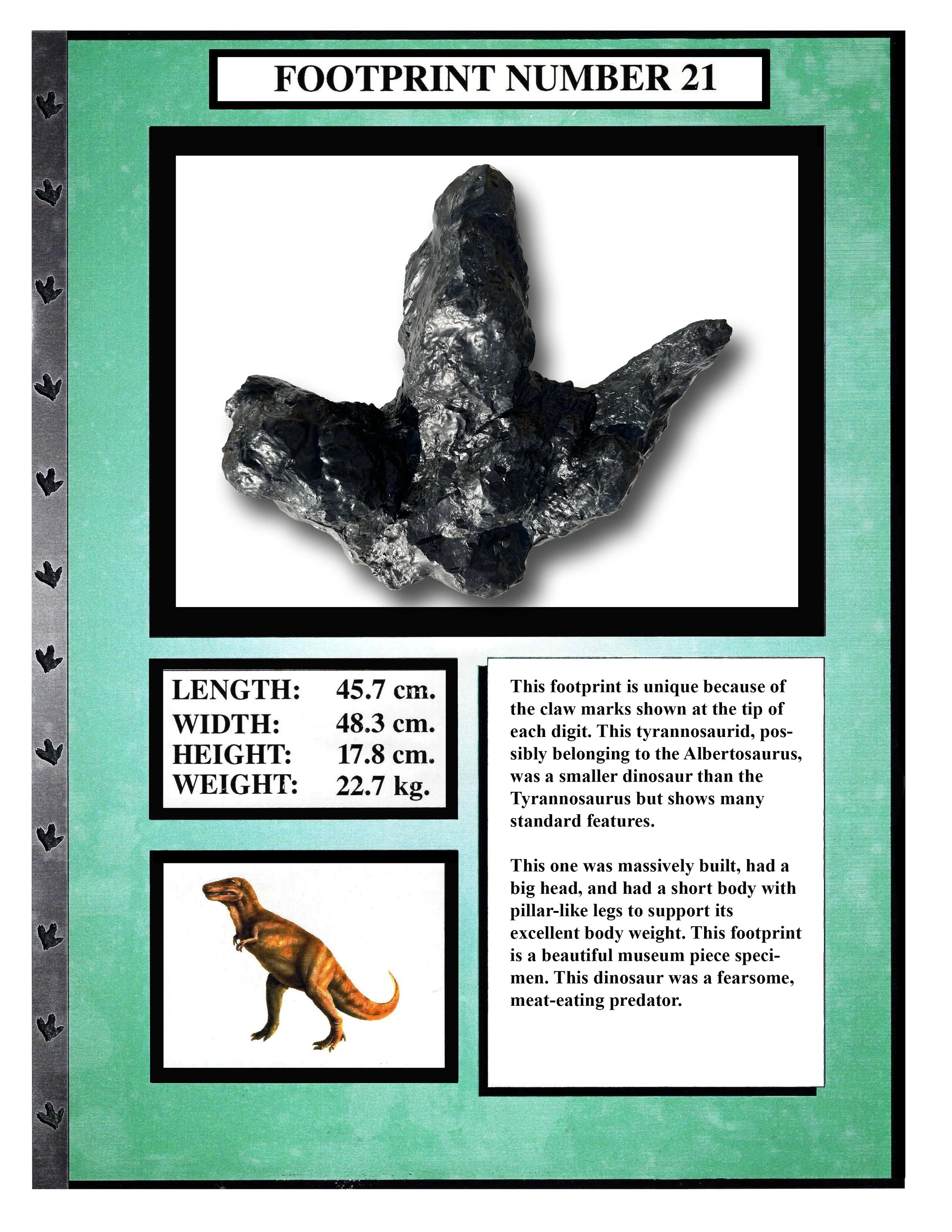 Albertosaurus #21