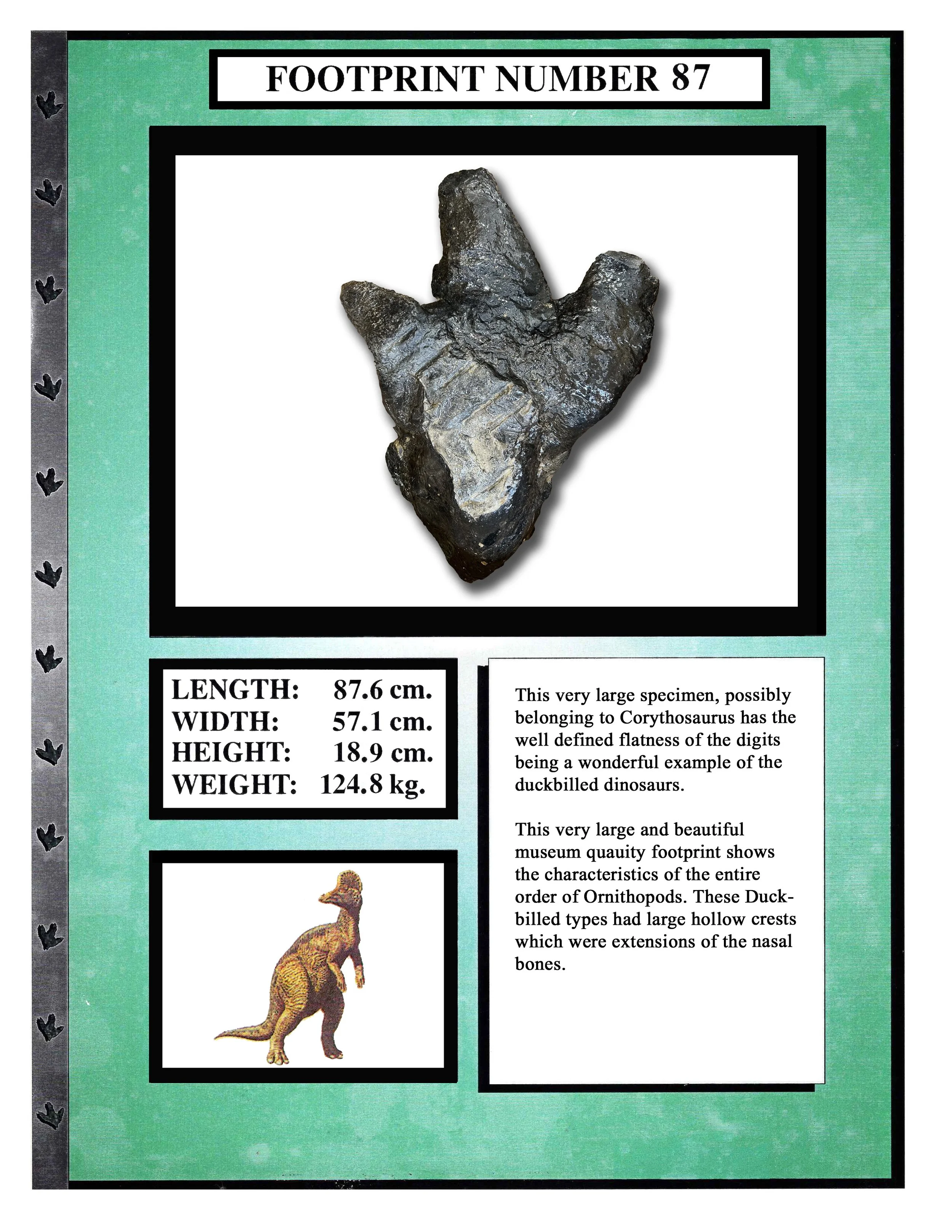 corythosaurus #87