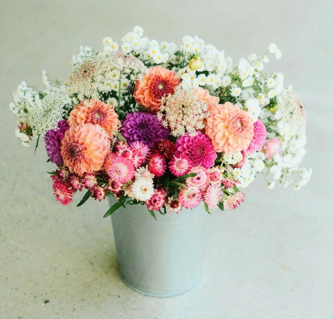 Screenshot_20241110-140428~2 (1).png