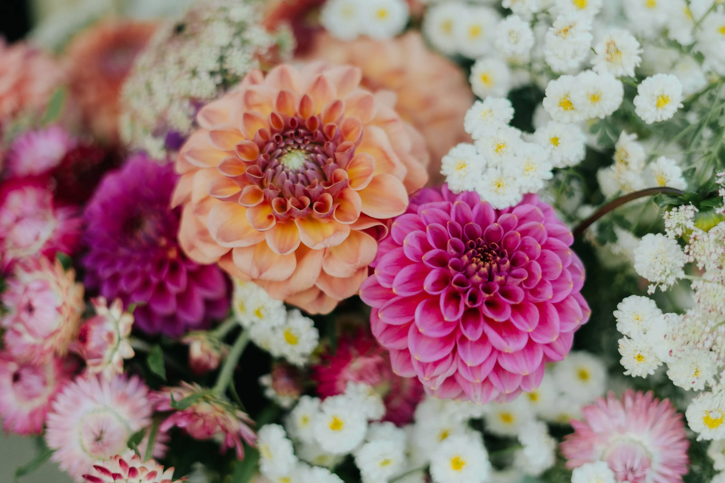 Copy of 7IV01413.jpg