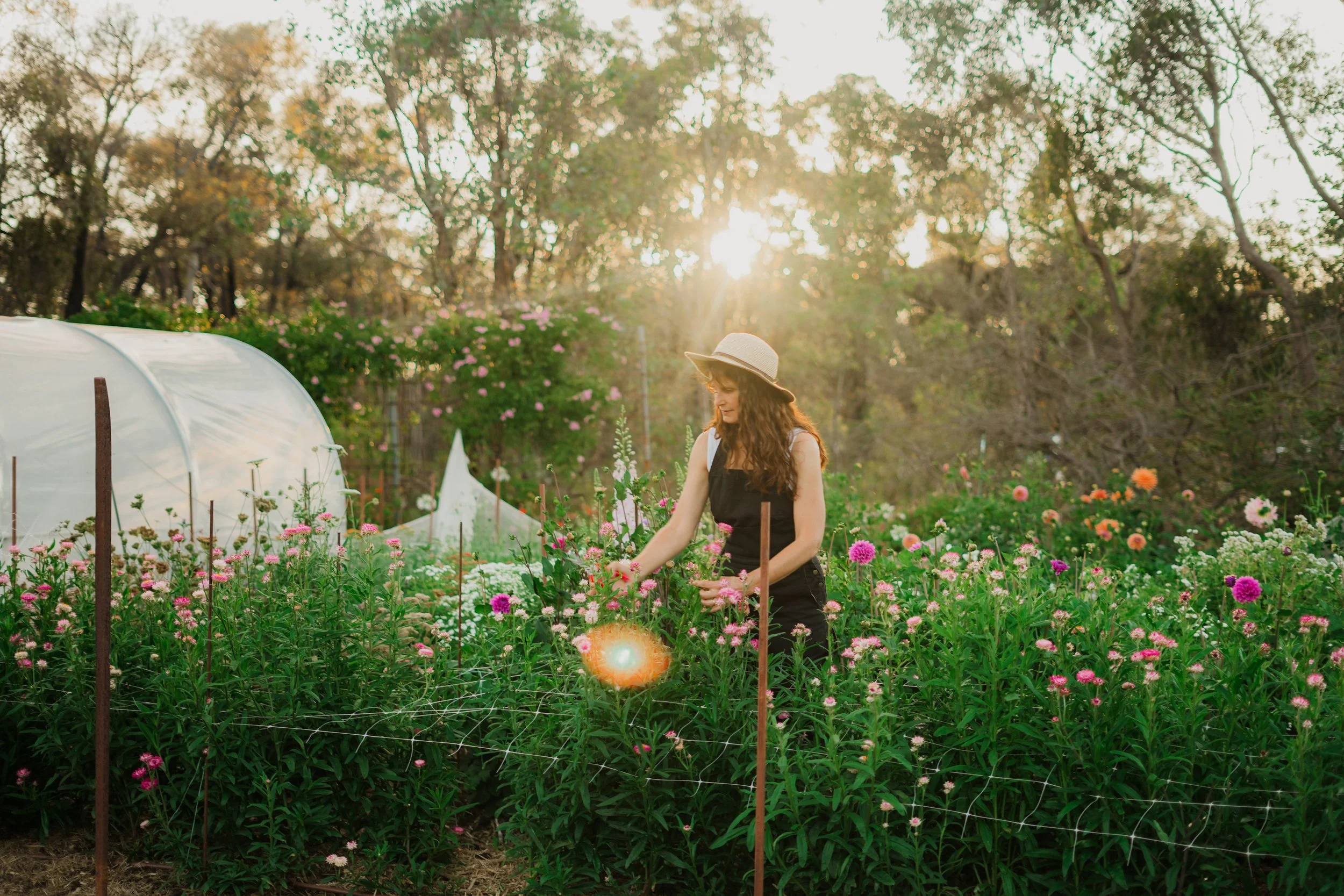 Copy of 7IV01895.jpg