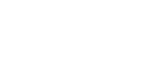 Subie Fix