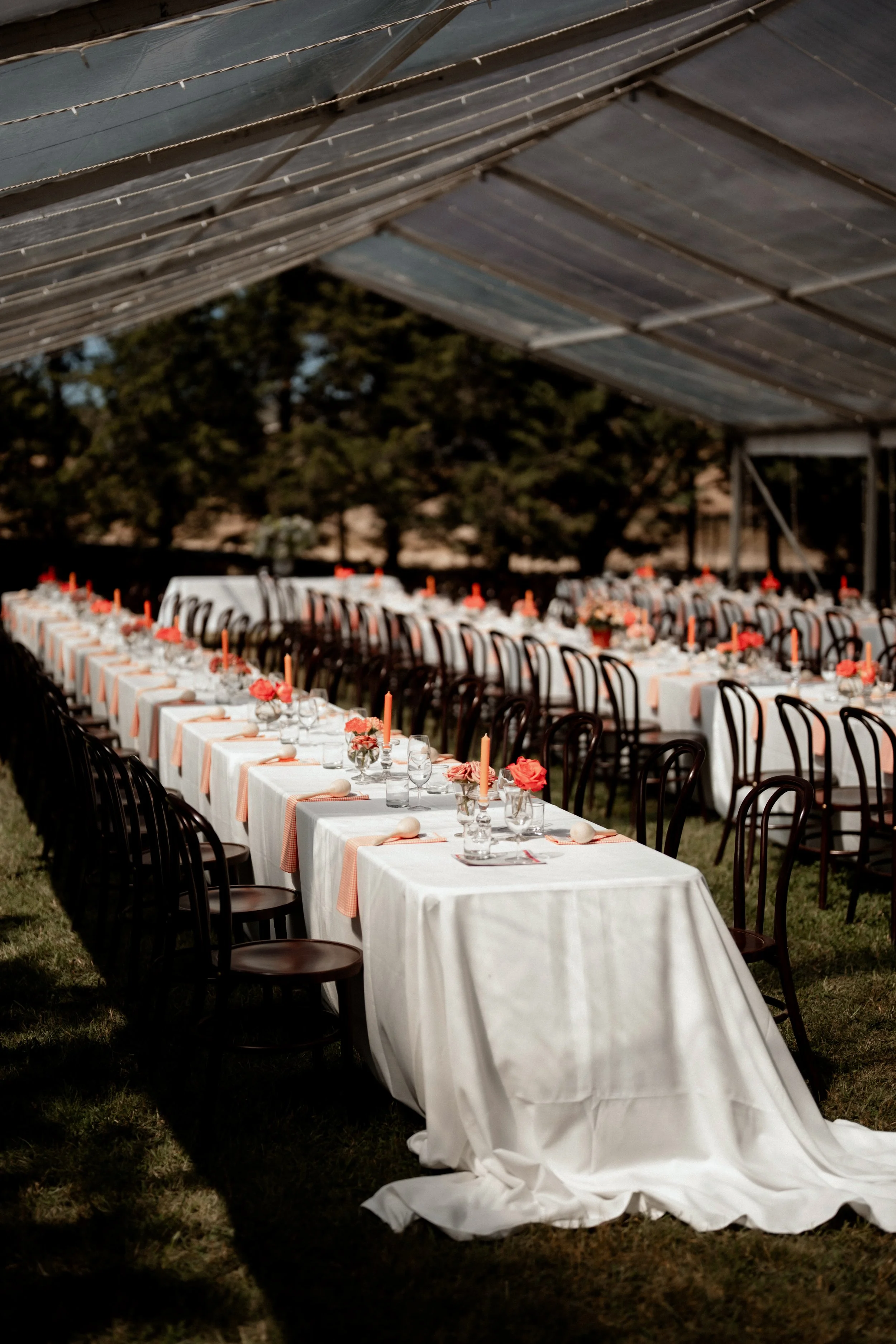 Susannah  Zara-1.jpg