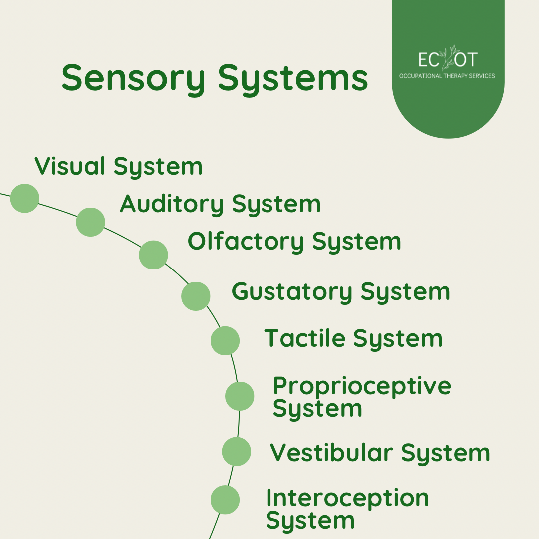 Tactile System 