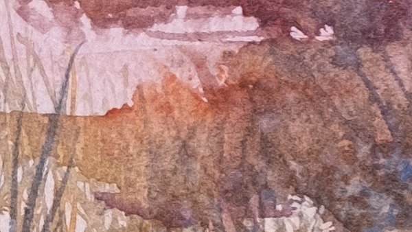 2025_Crimson_Wetlands_Maziarz_WEB_Swatch04.jpg
