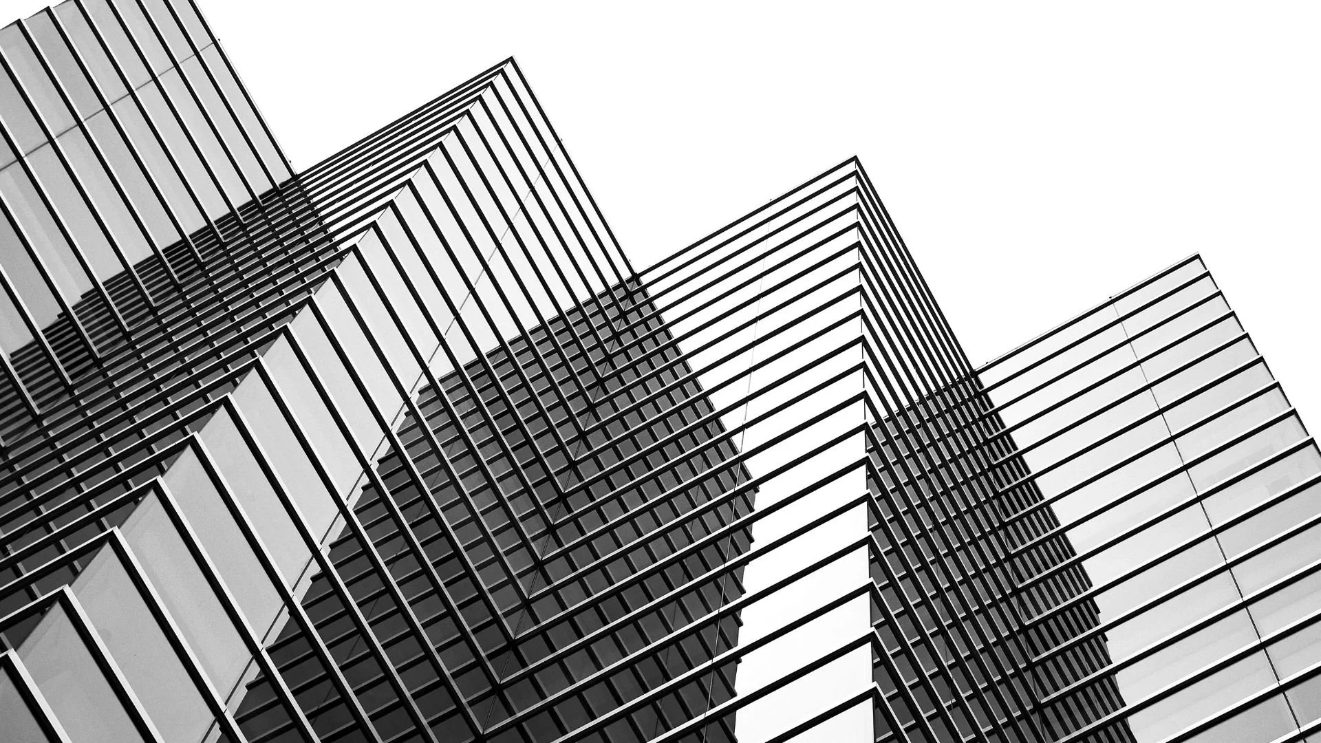 Untitled design-3.jpg