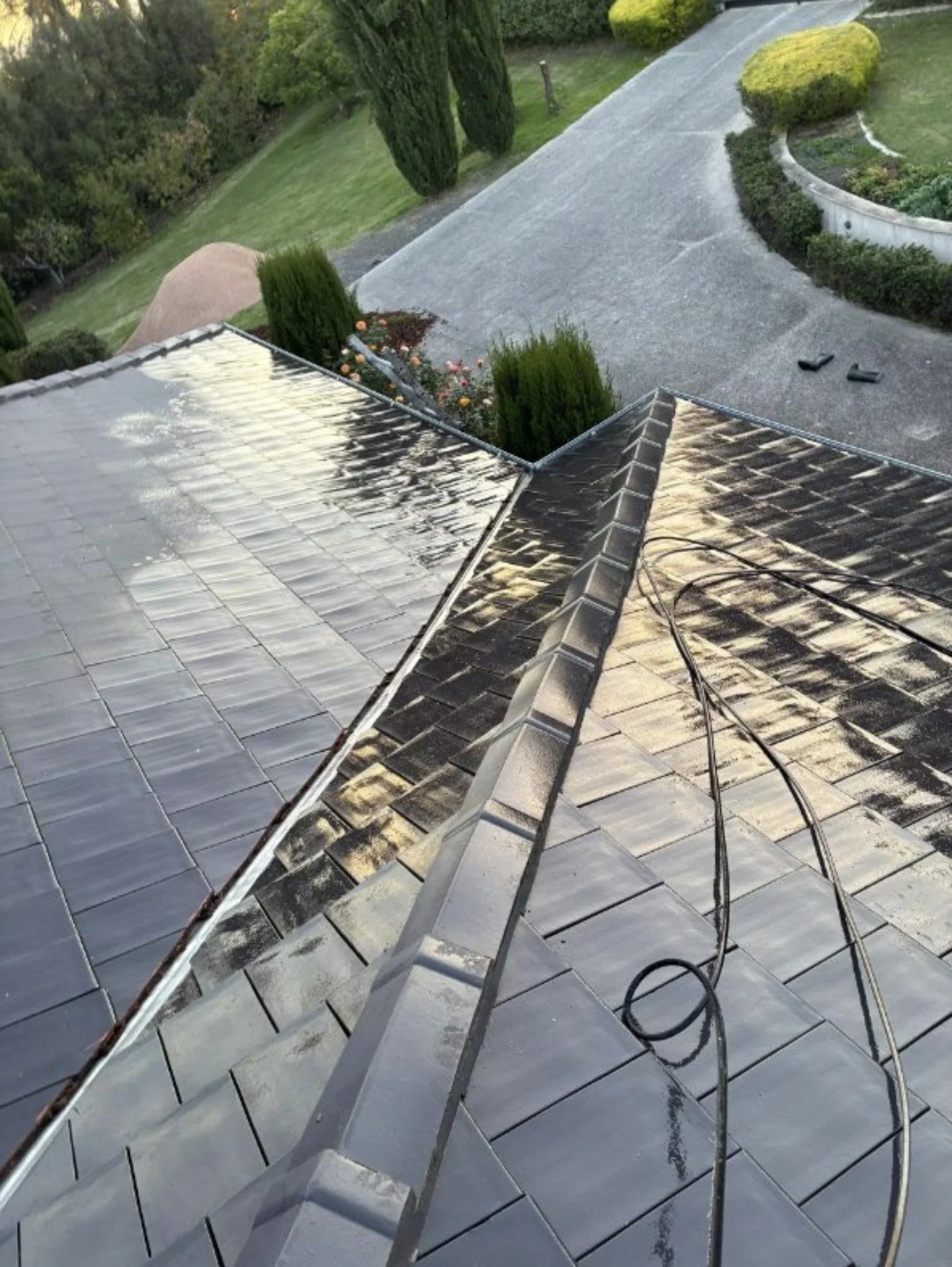 Professional Roof Cleaning, Gutter Maintenance & Exterior Painting