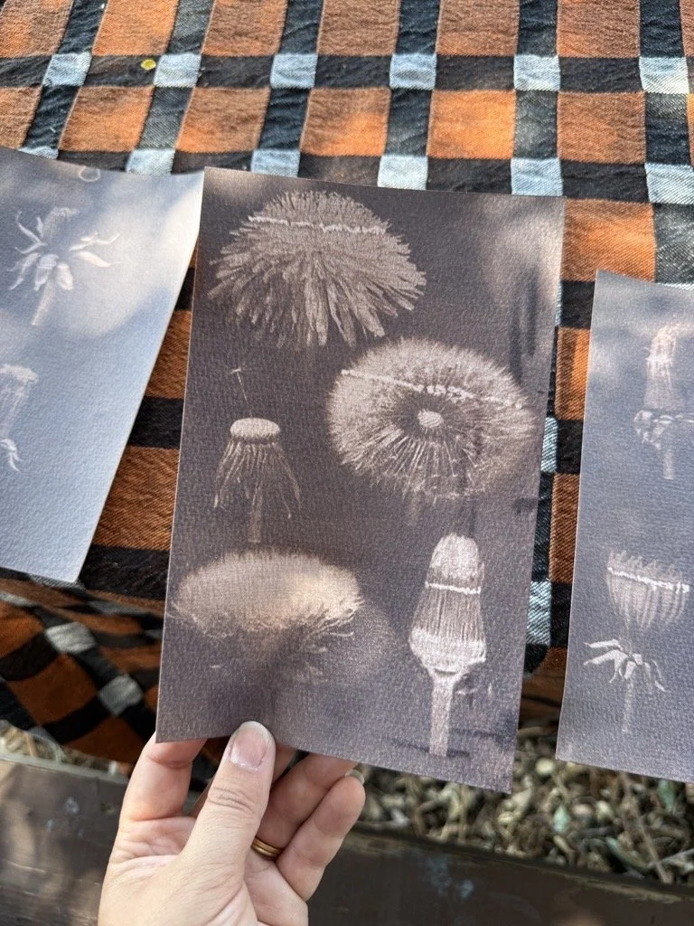 Cyanotype Printing and Toning Lab 