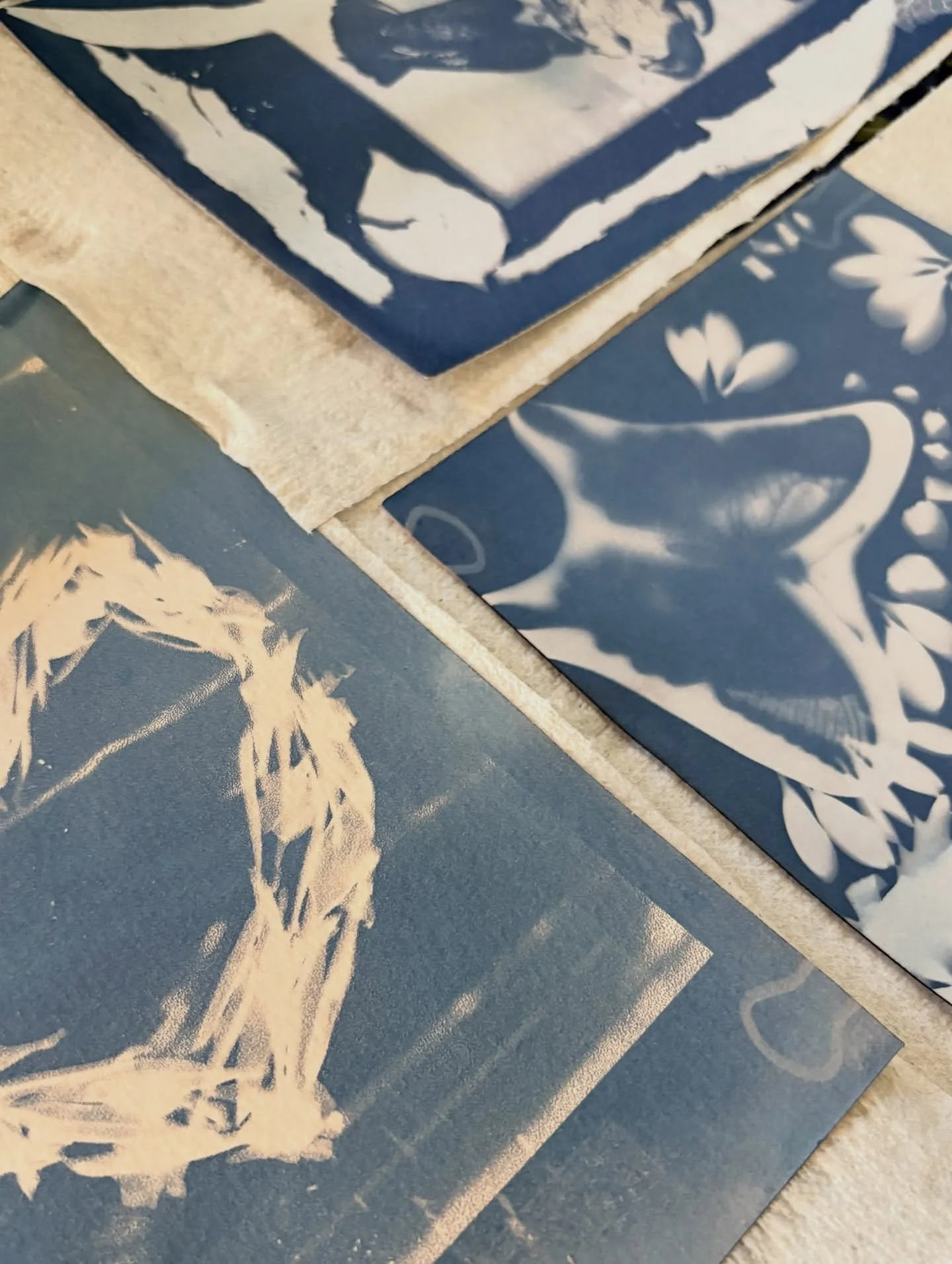 Cyanotype Workshop #2: Toning Lab! 

CCMA was so delighted to host this wonderful workshop, just one week ago! Everyone&rsquo;s creations were truly inspiring and we could not be more grateful for our lovely workshop leader @rebecca_ustrell 

Wonderi