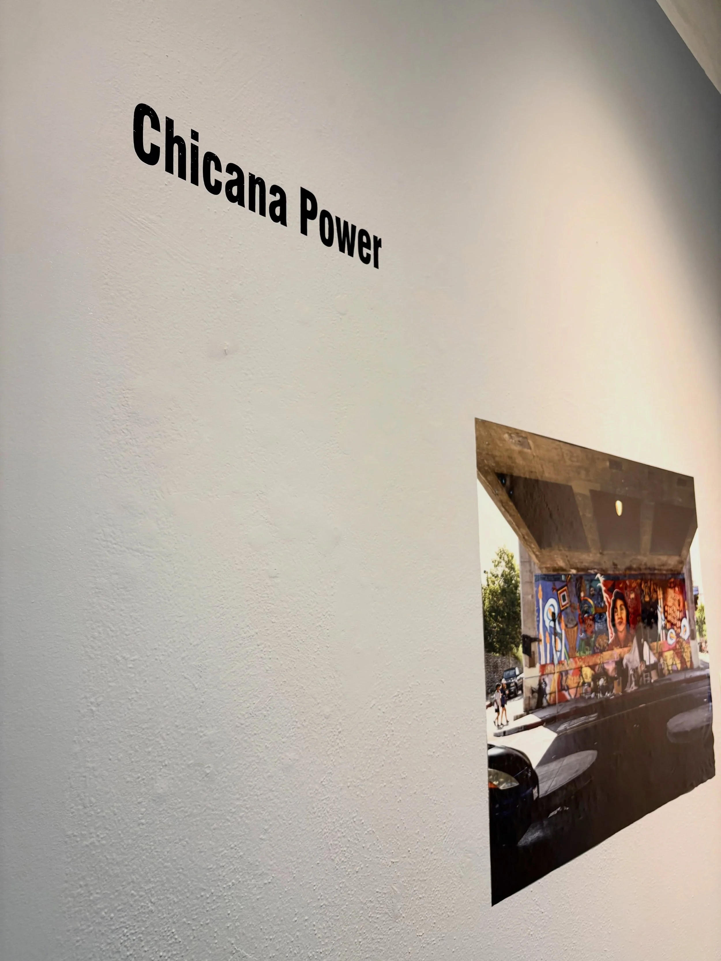 Today we said goodbye to our historically and culturally rich exhibition, &ldquo;Walls that Speak: Chicana/o Mural Art&rdquo;.

Here on our wall in Vinyl, we had two powerful words &ldquo;Chicana Power&rdquo;, and we will continue bolstering the many