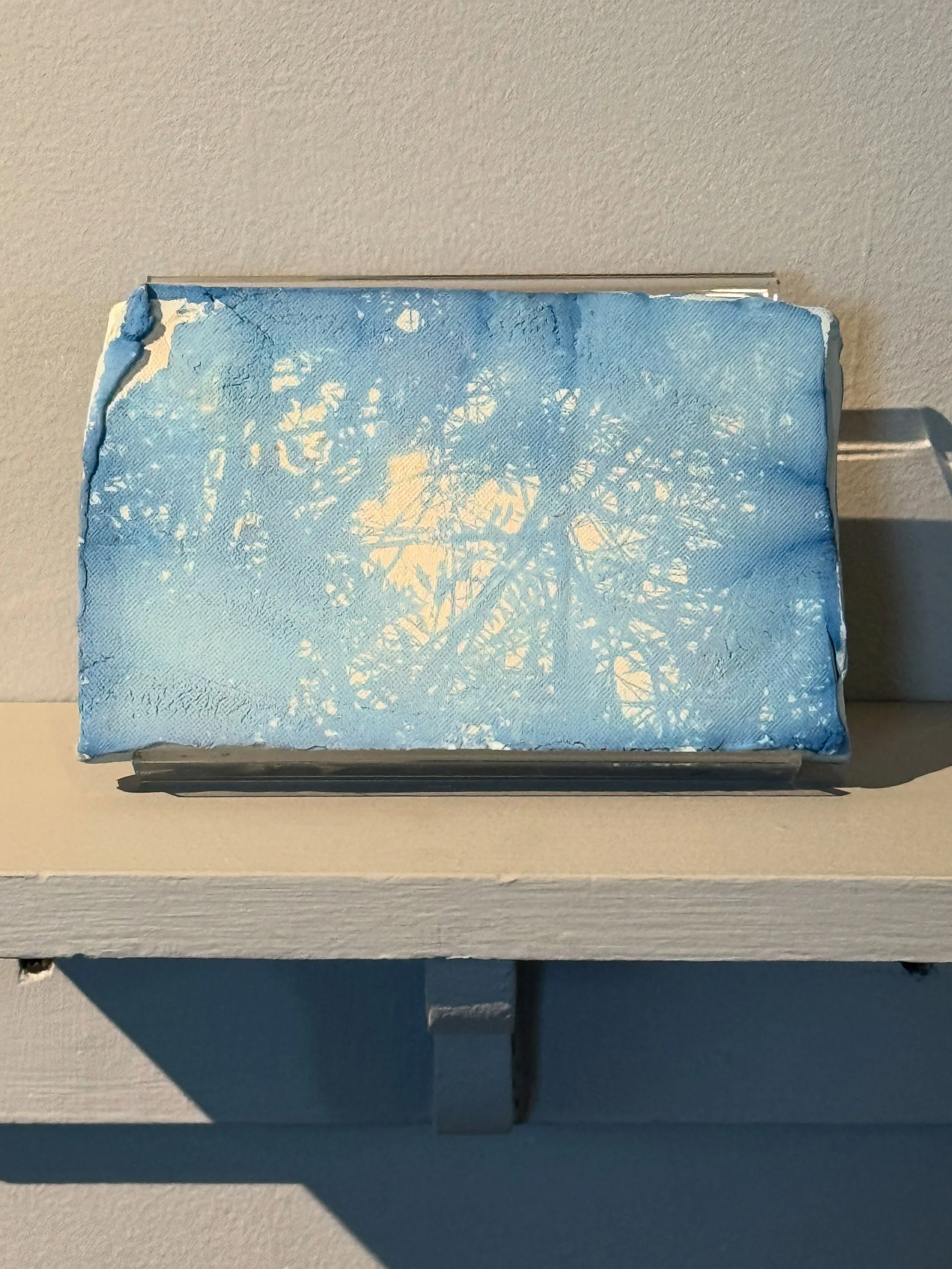 The Steve Thomas Photography Open exhibition is now on view. Come and see photography in multiple formats such as this work by Rebecca Ustrell entitled &ldquo;Dawn Canopy&rdquo;. 

This work was created by coating bisque tile with cyanotype emulsion 