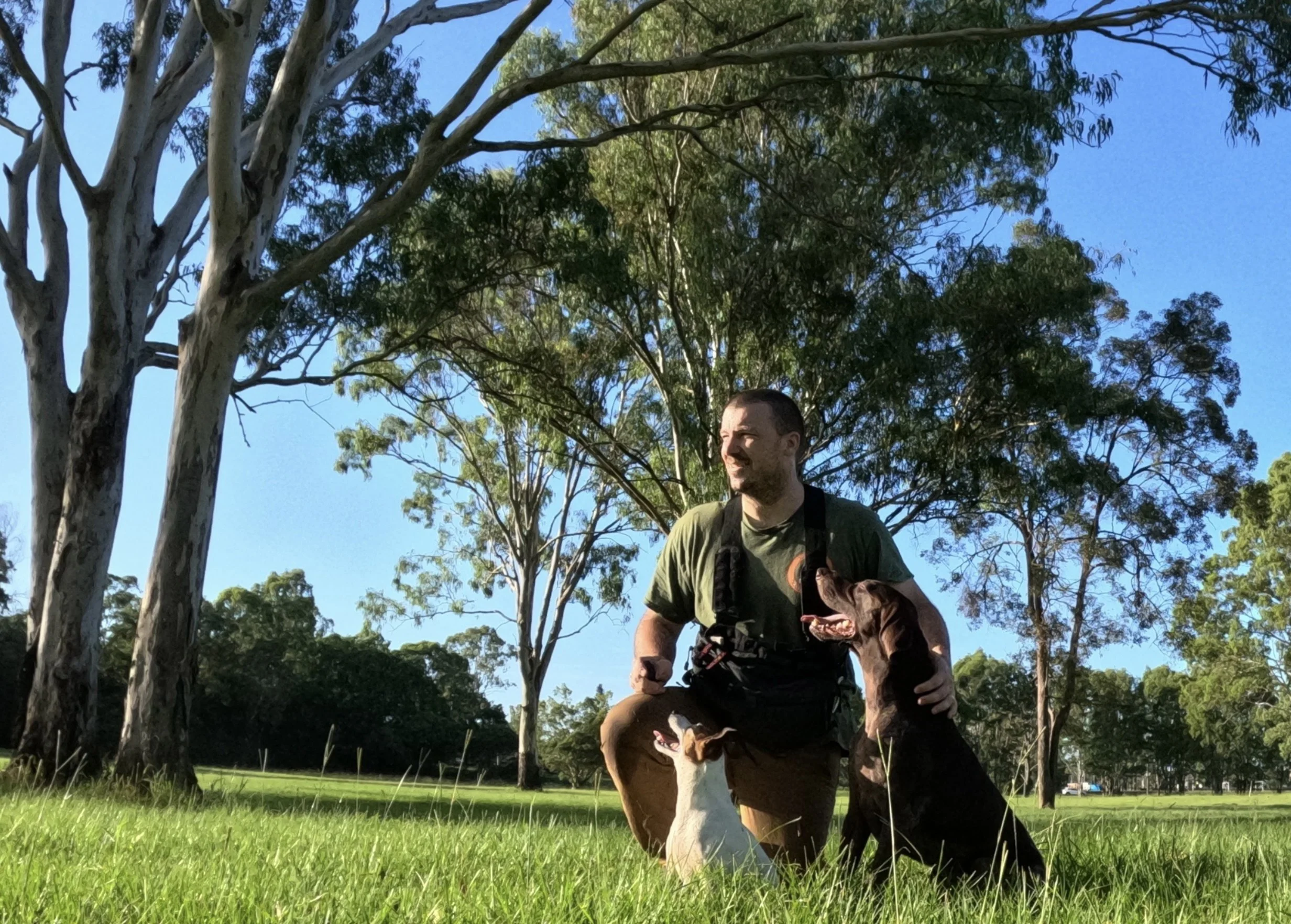 A man kneeling on green grass in a park, smiling, with a brown and a white dog sitting beside him, near tall trees and a clear blue sky.