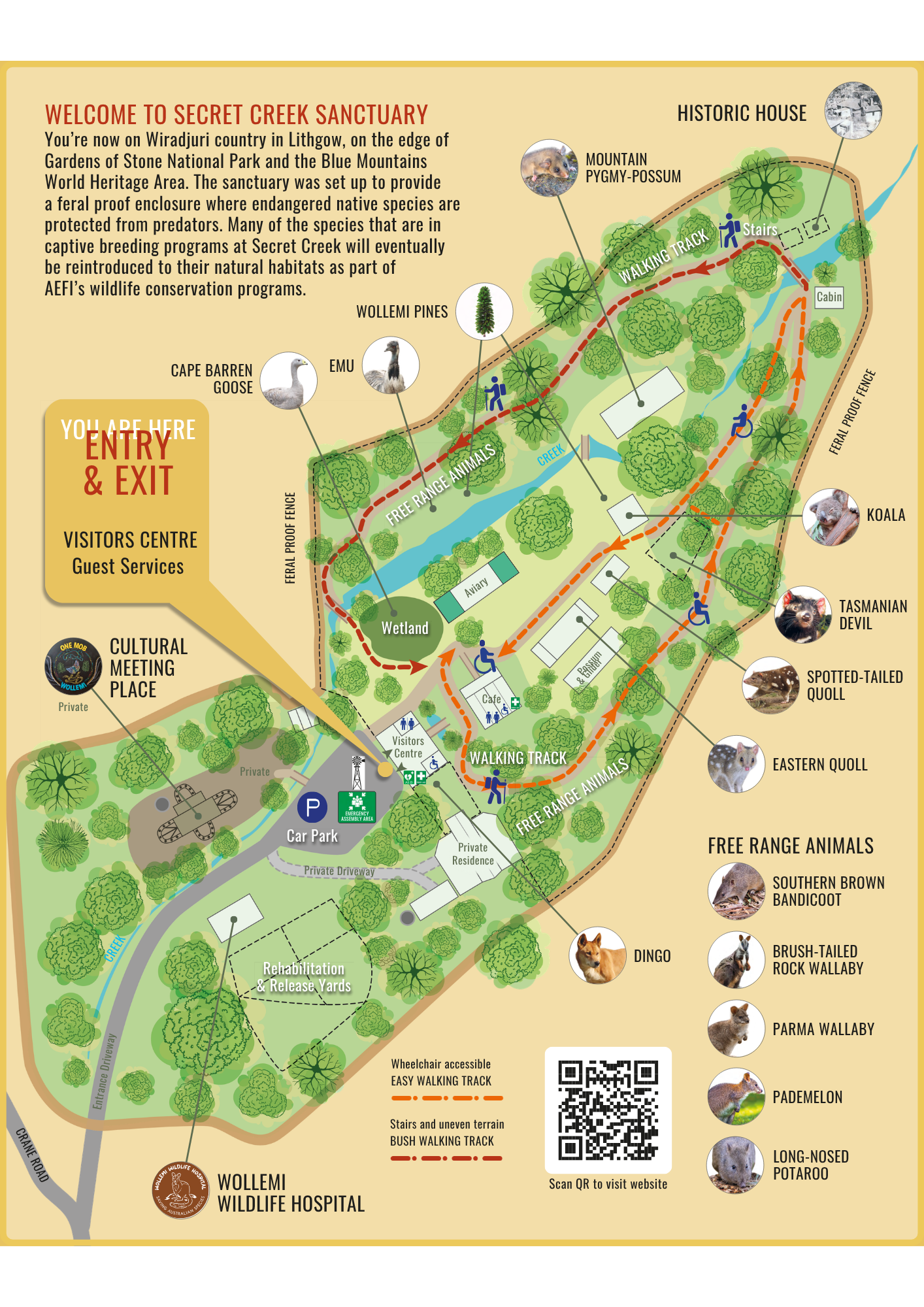 Map of Secret Creek Sanctuary with walking tracks, animal habitats, facilities, and labeled animals including koala, Tasmanian devil, spotted-tailed quoll, eastern quoll, southern brown bandicoot, brush-tailed rock wallaby, Parma wallaby, and long-nosed potaroo. Features entry and exit points, visitor center, car park, and wildlife hospital.