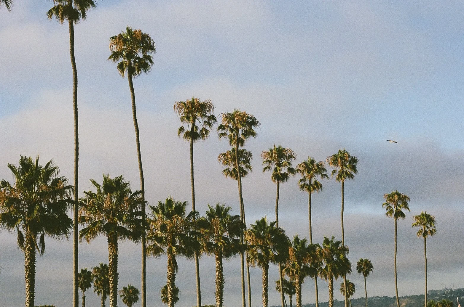 san diego-9.jpg