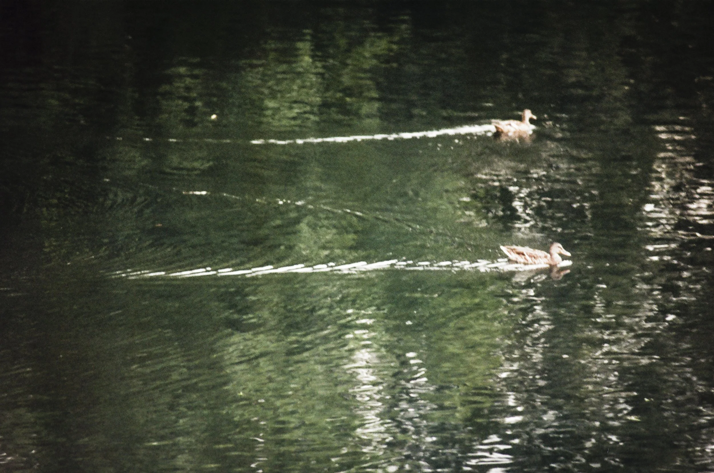 north carolina-24.jpg