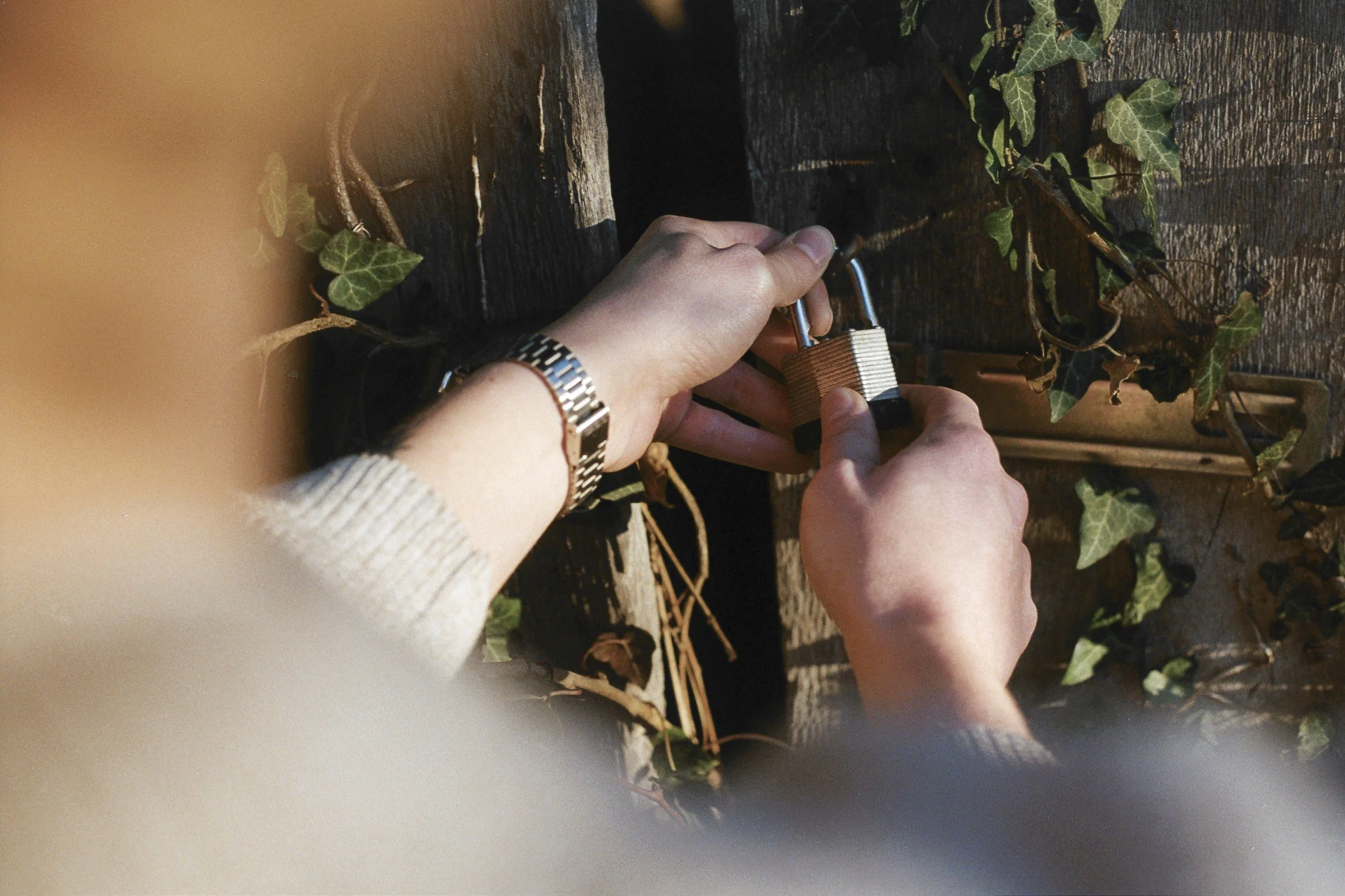 greyson study-14.jpg