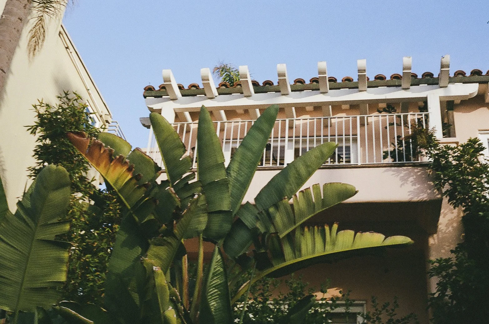 san diego-8.jpg