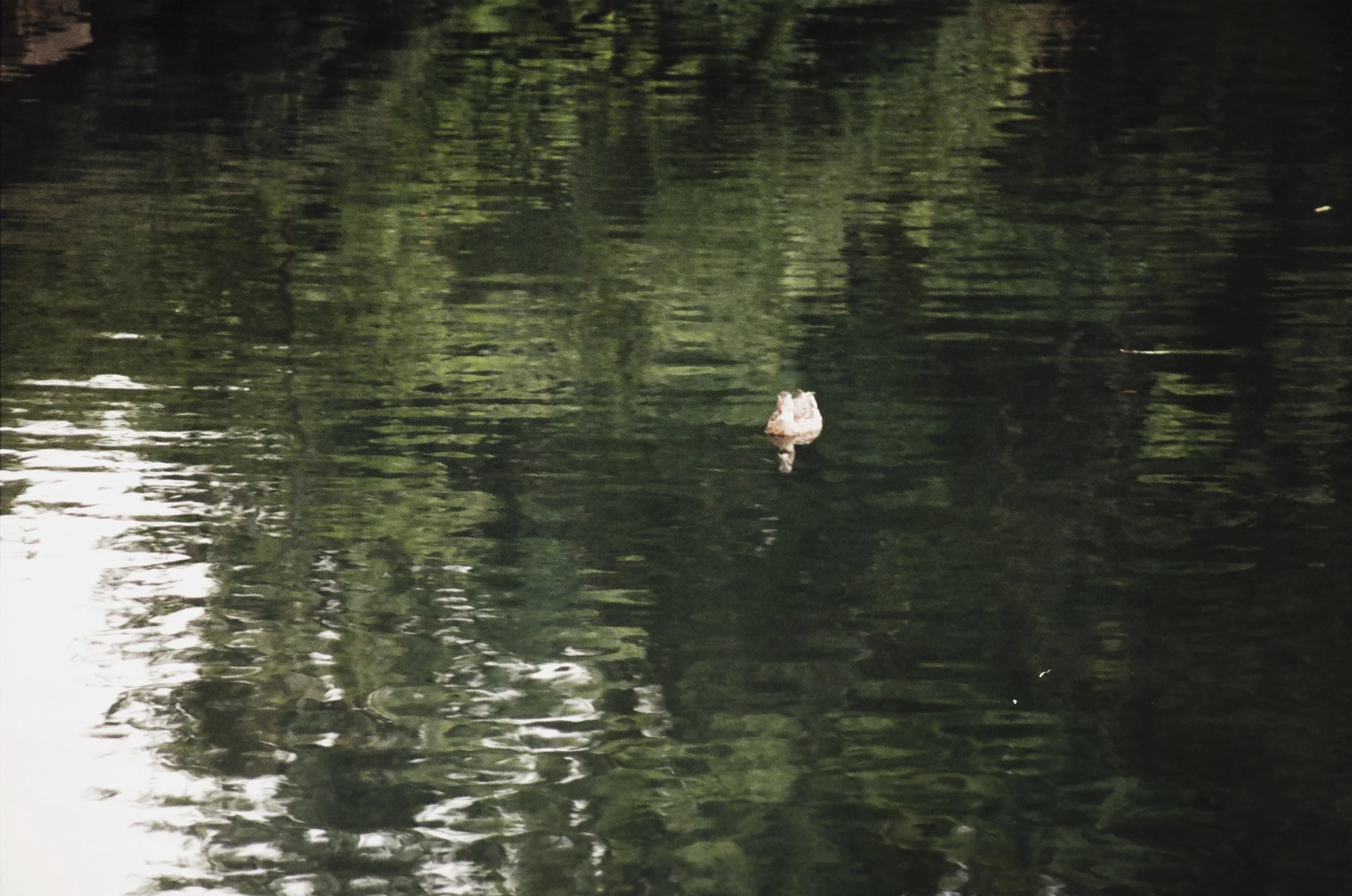 north carolina-25.jpg