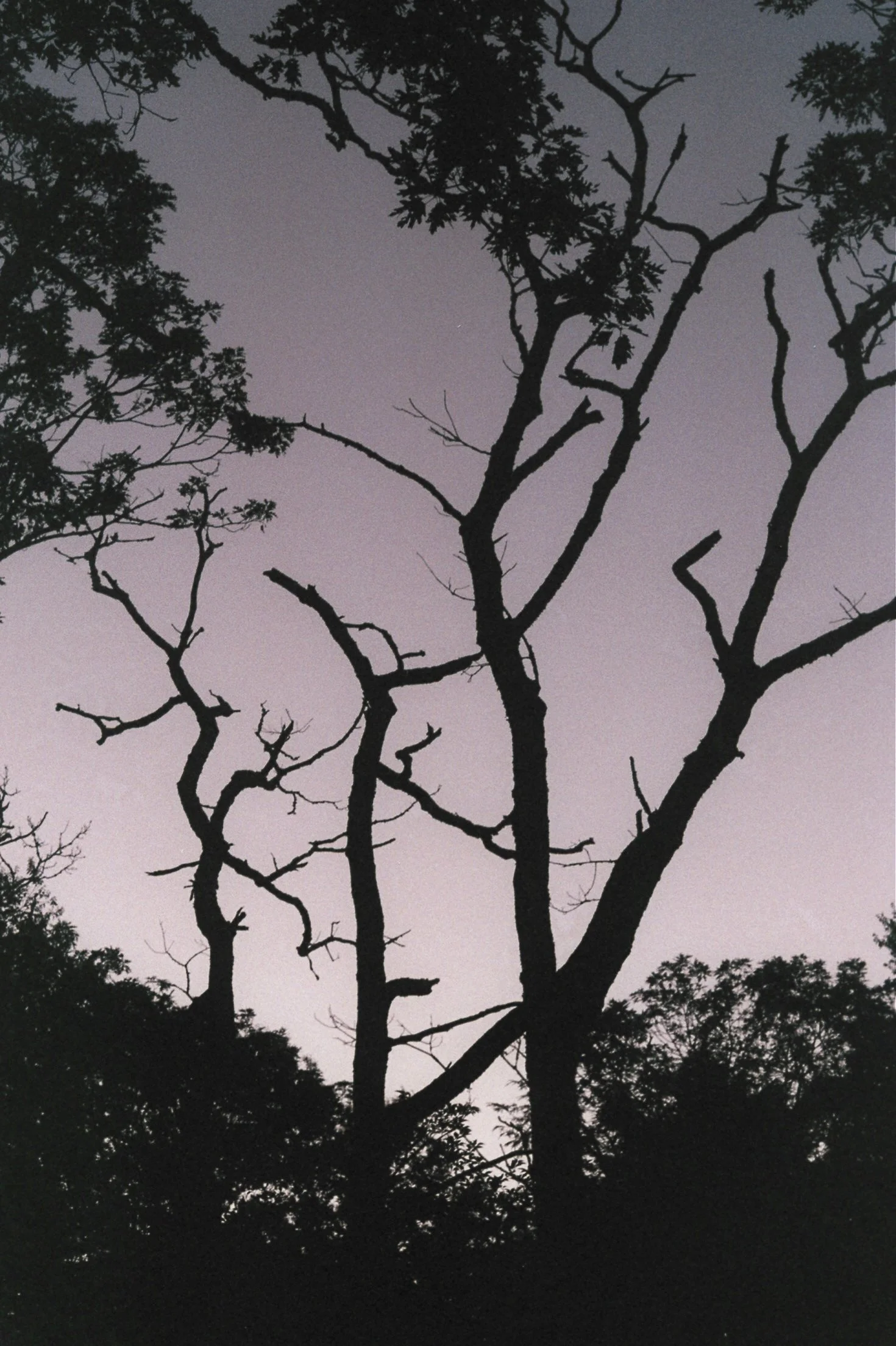 hike-8.jpg