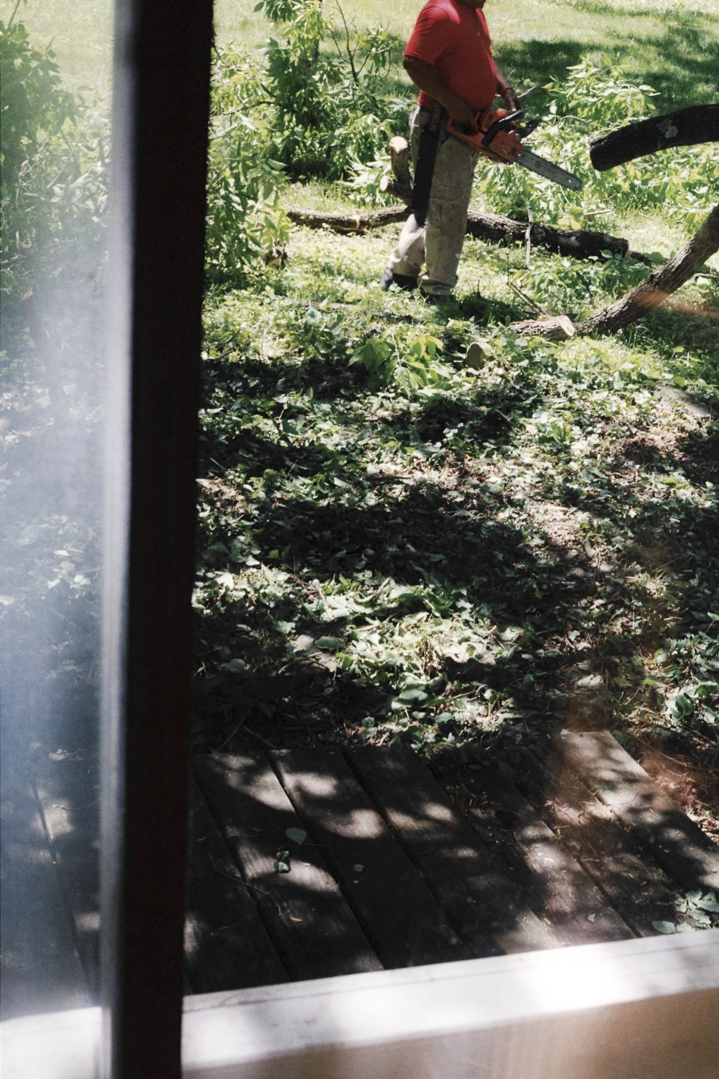 lingering-17.jpg