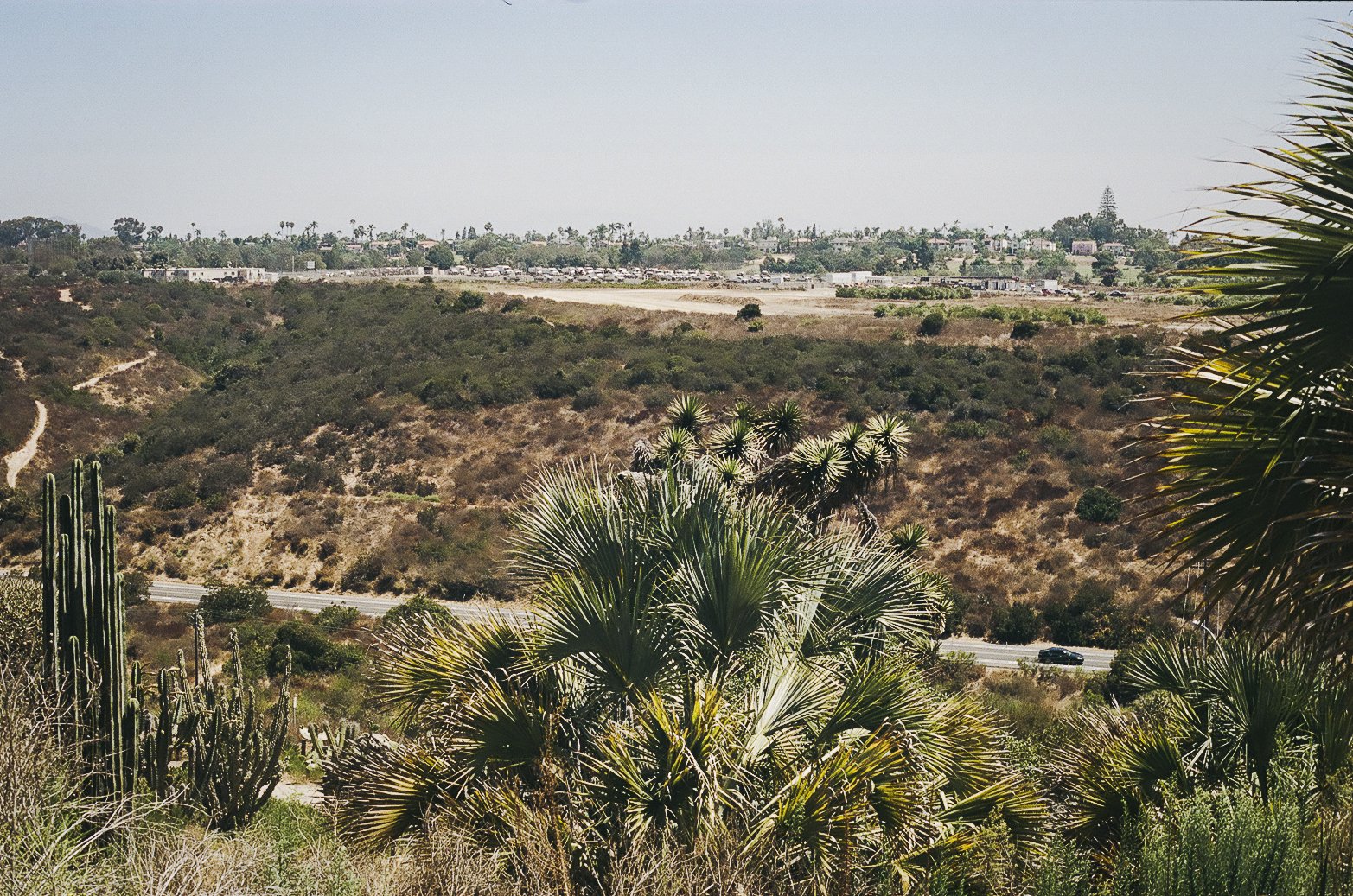 san diego-36.jpg