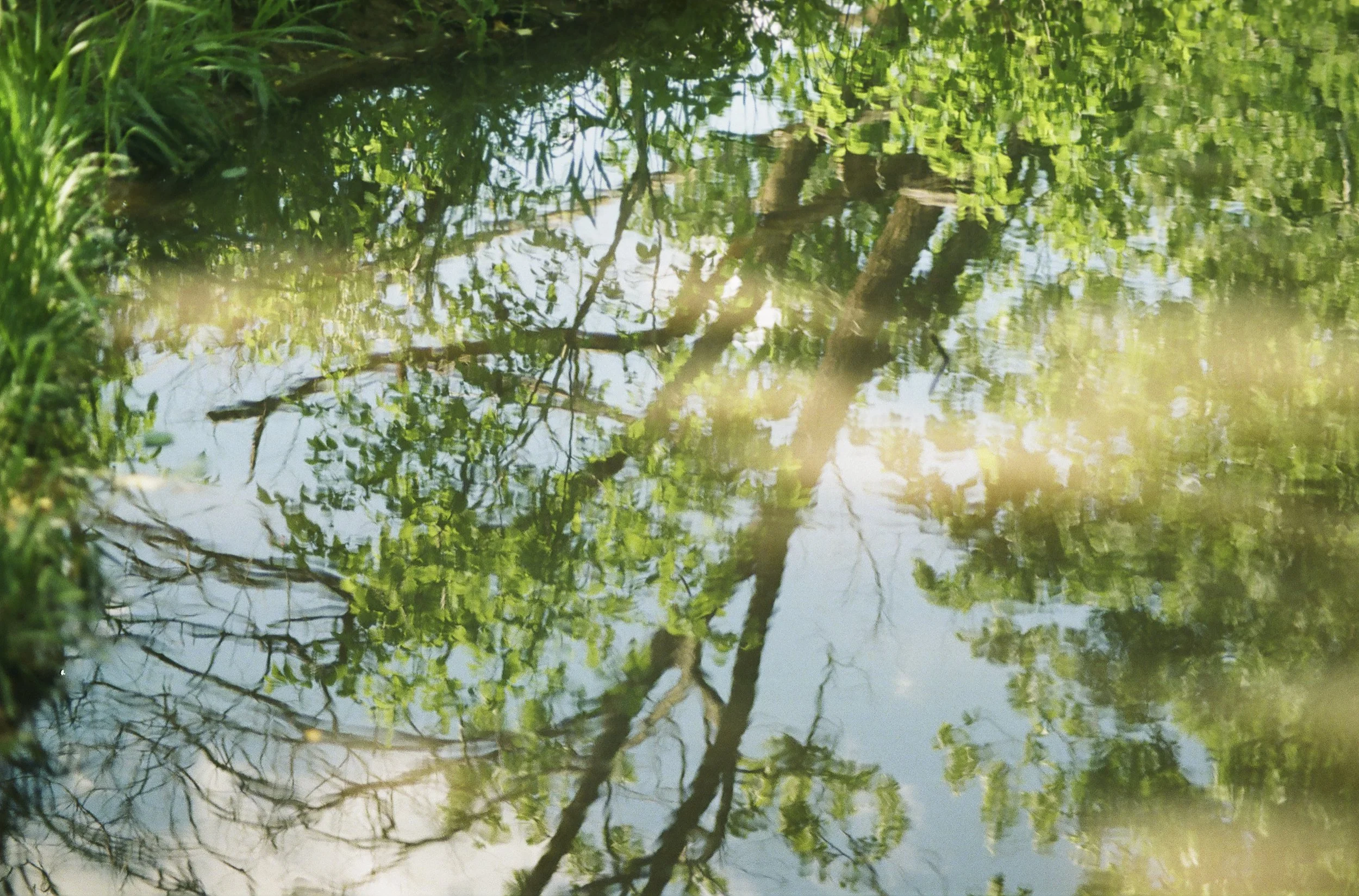 may river-2.jpg
